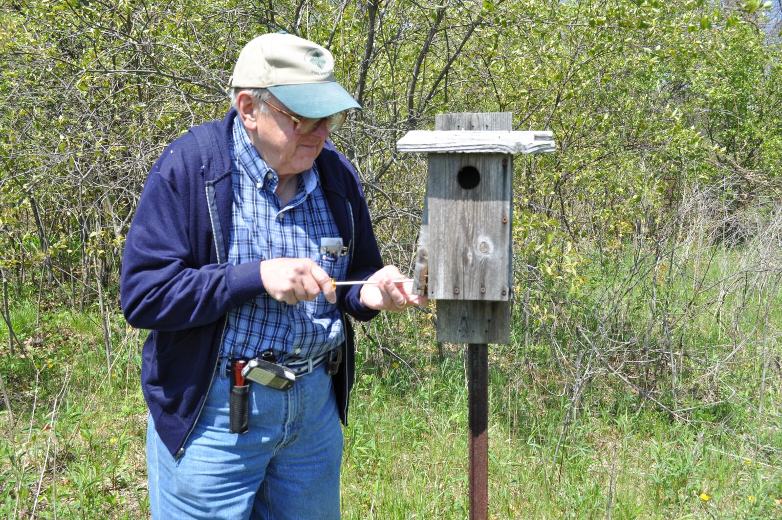 Nikon D5000 sample photo. Bluebird monitor, bluebird monitoring photography