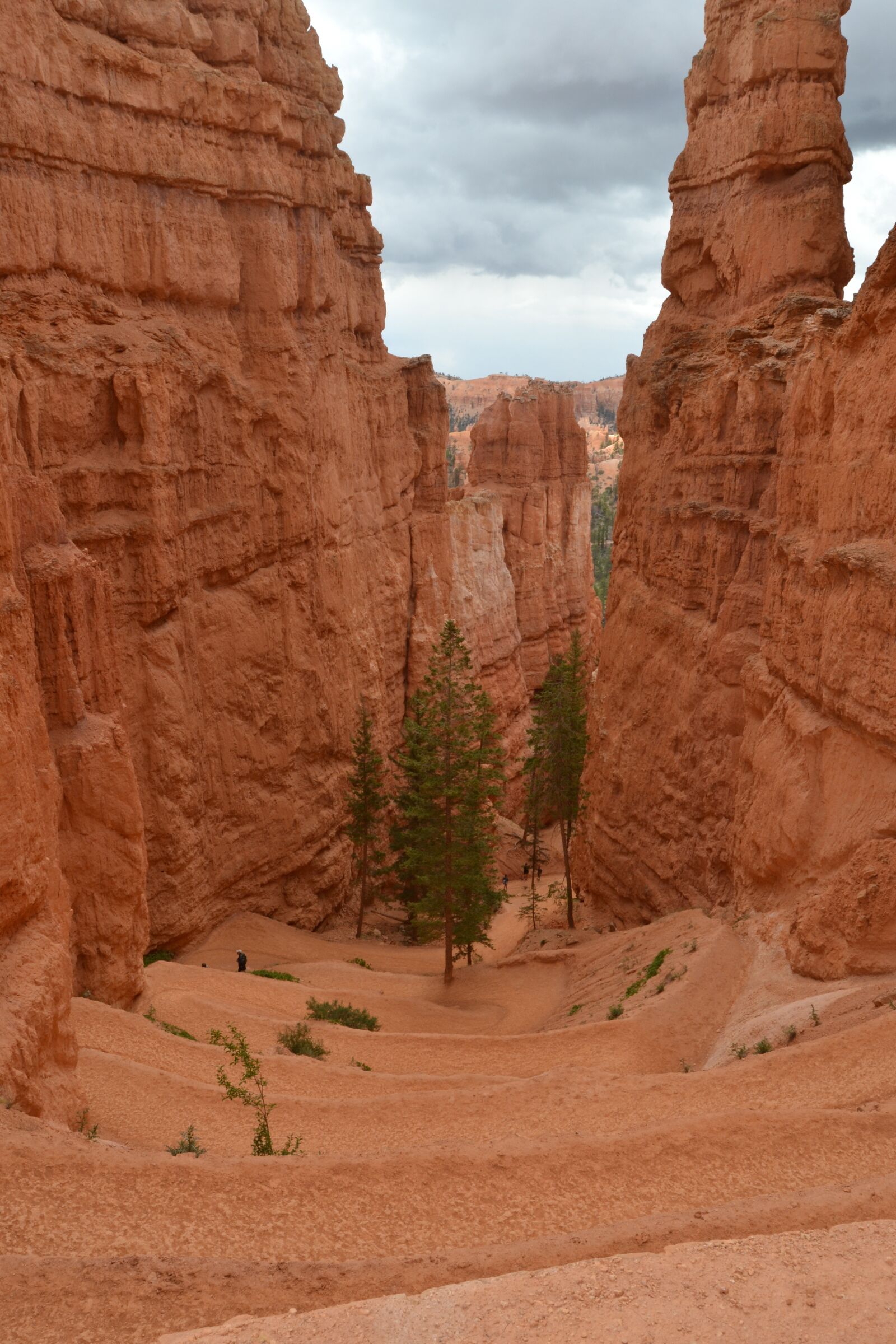 Nikon D3100 sample photo. Bryce canyon, usa, utah photography