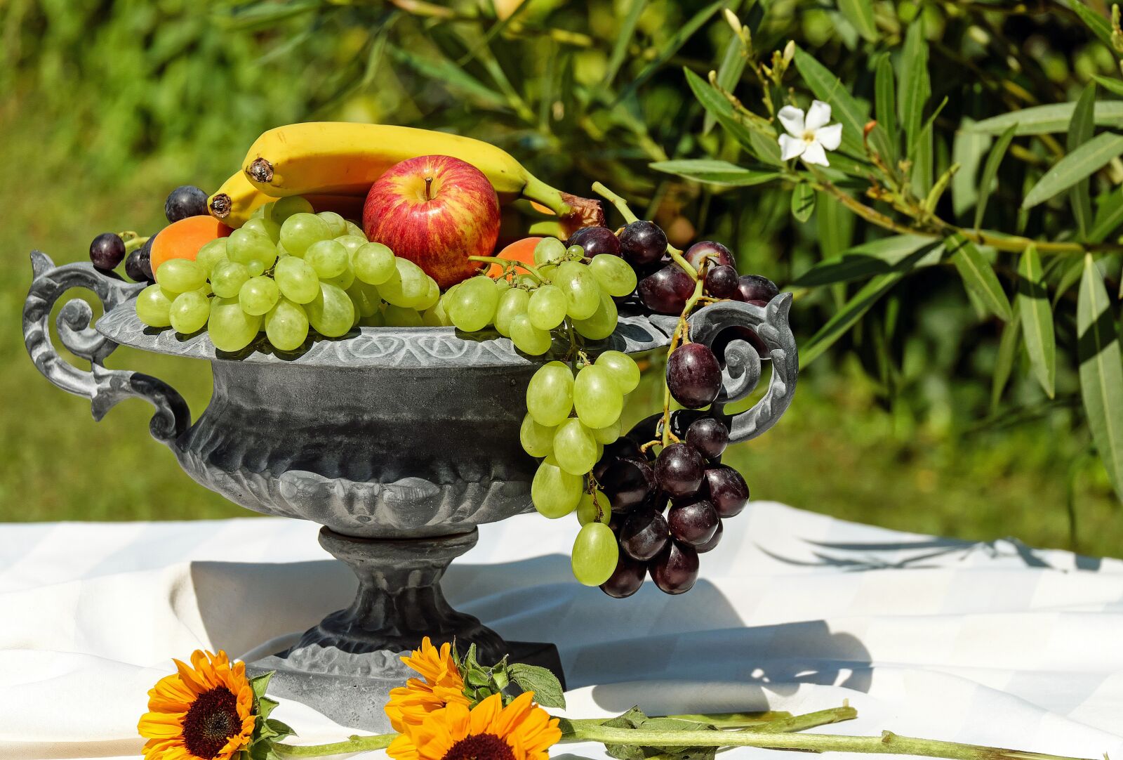 Fujifilm X-T10 + Fujifilm XC 50-230mm F4.5-6.7 OIS sample photo. Fruit bowl, shell, fruit photography