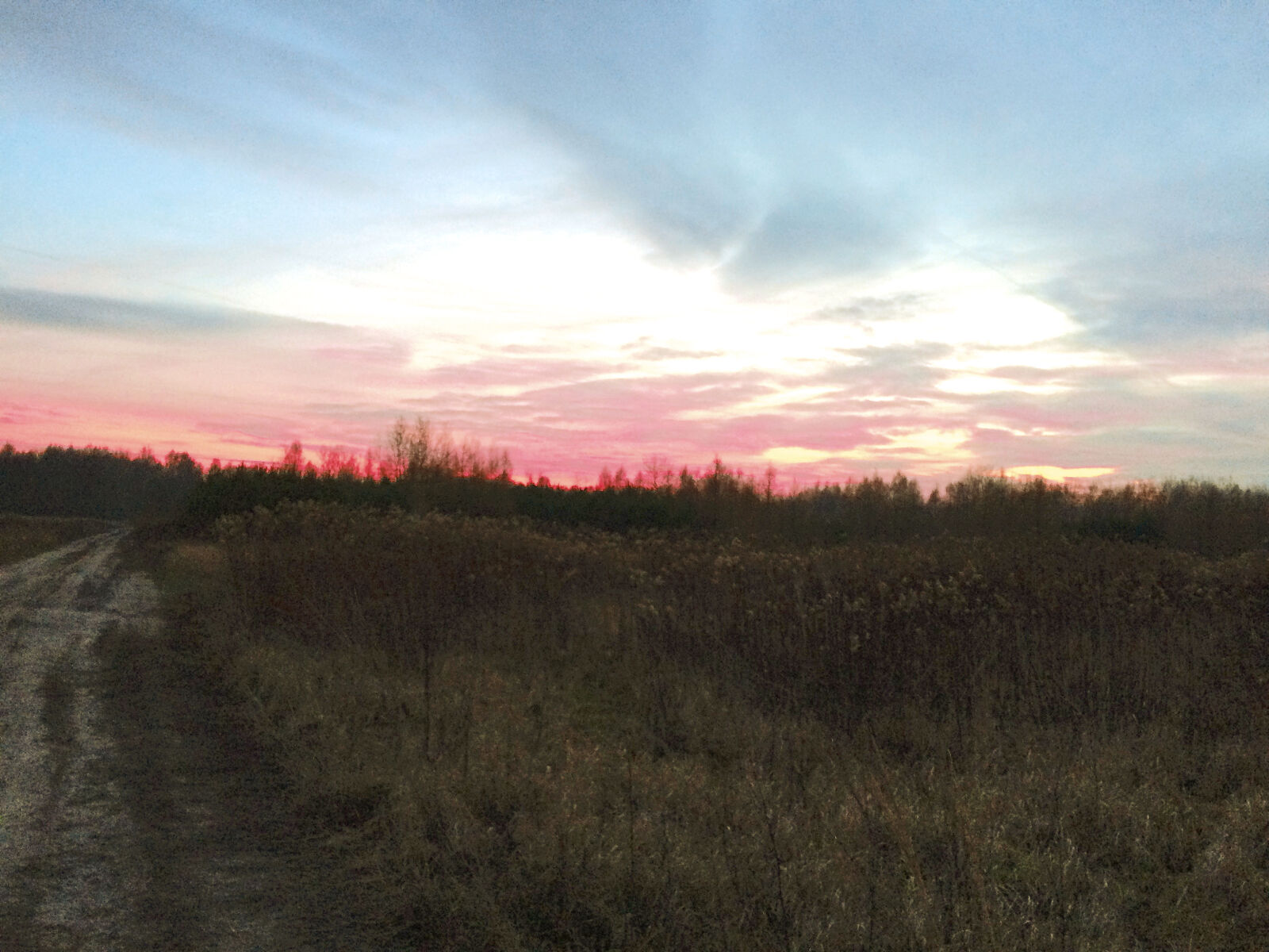 iPhone 5s back camera 4.15mm f/2.2 sample photo. Autumn, field, forest, nature photography