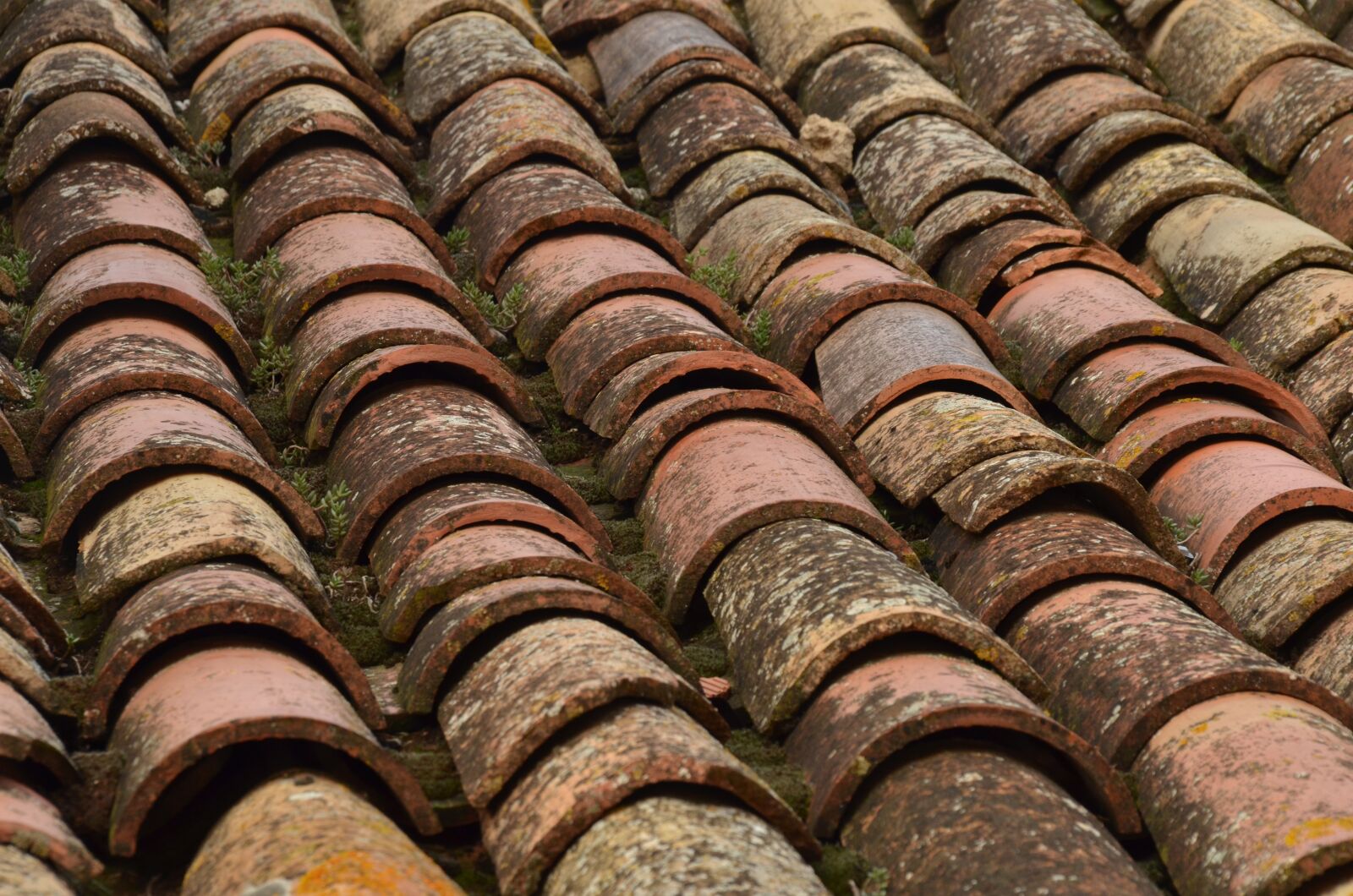 Nikon D7000 sample photo. Roof, roof tile, structure photography