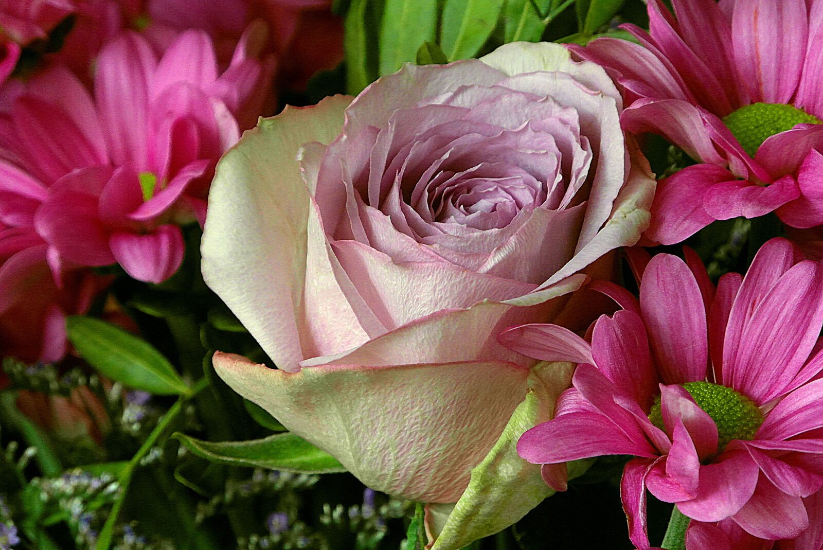Samsung WB750 sample photo. Rose, bouquet, flowers photography