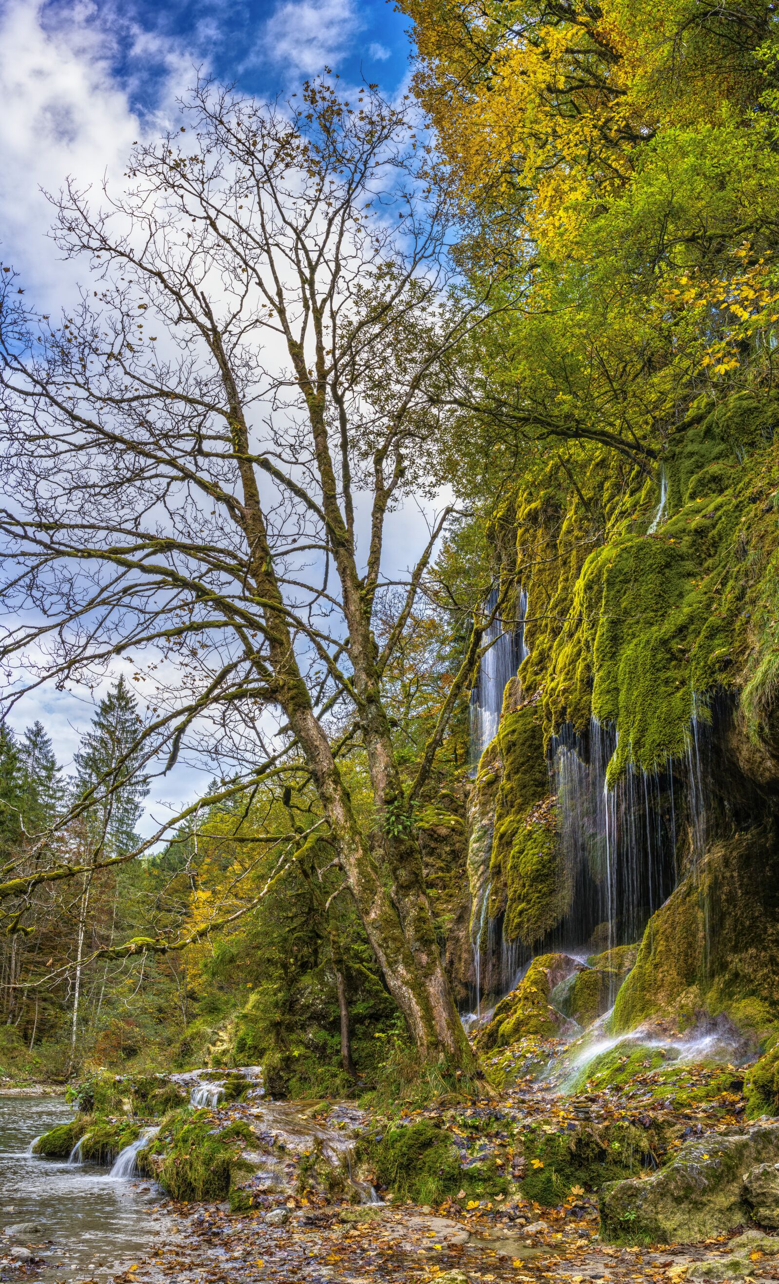 Sony a6300 + Sigma 30mm F2.8 EX DN sample photo. Veil cases, waterfall, autumn photography