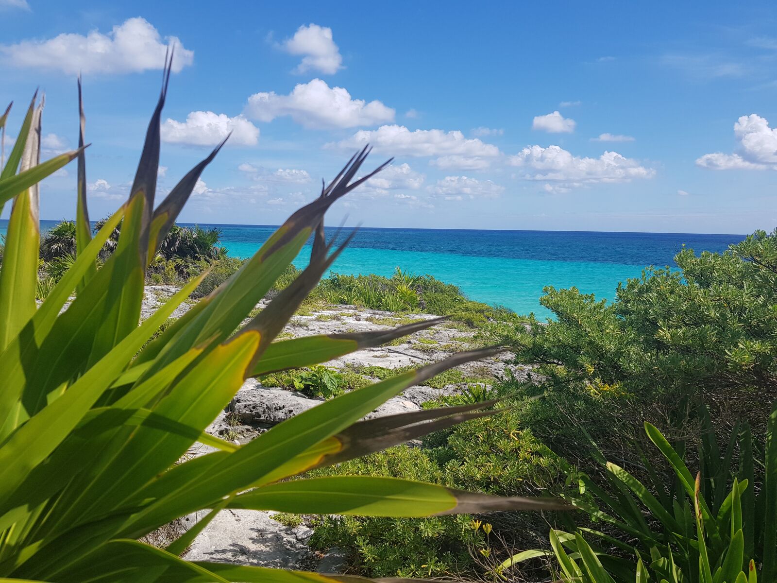 Samsung Galaxy S8 sample photo. Beach, mexico, cancun photography