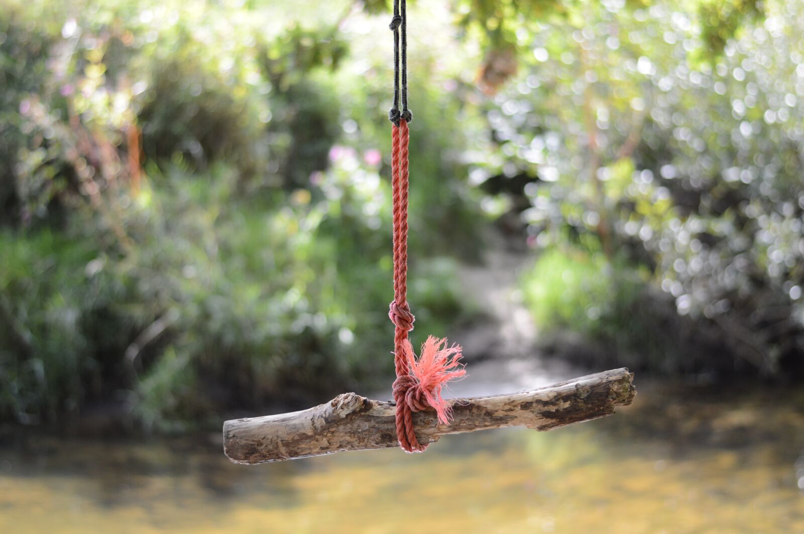 Nikon D3200 sample photo. Nature, play, tarzan photography