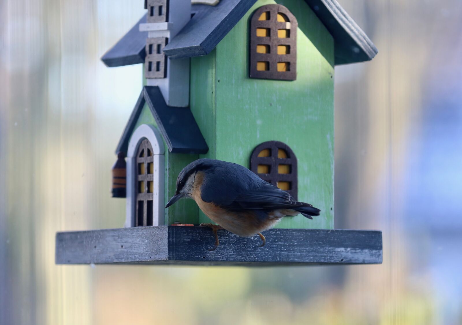 Canon EOS 5D Mark III sample photo. Nature, animals, birds photography