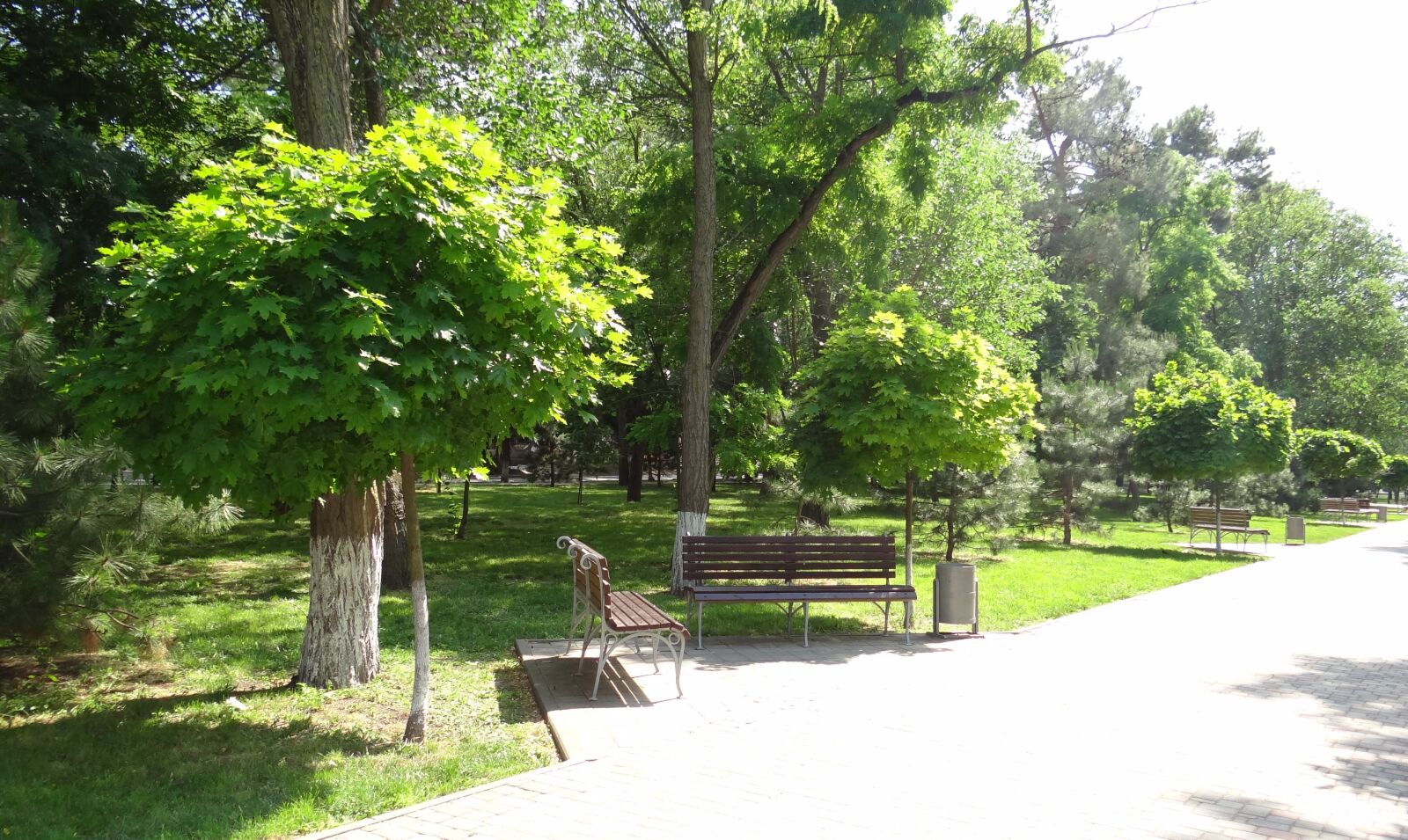 Sony Cyber-shot DSC-HX100V sample photo. Greens, empty park, shrub photography