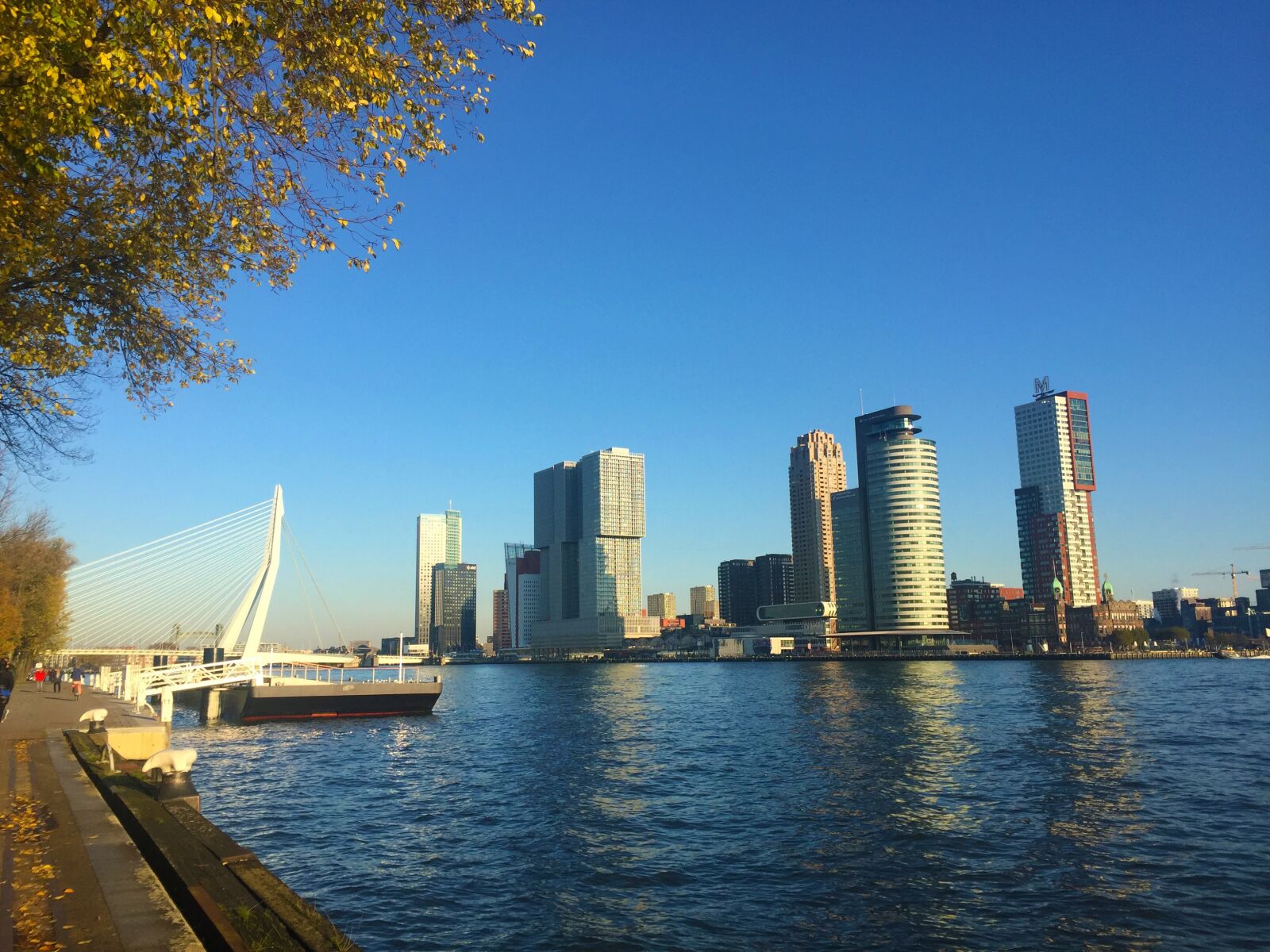 iPhone 6 Plus back camera 4.15mm f/2.2 sample photo. Rotterdam, netherlands, architecture photography