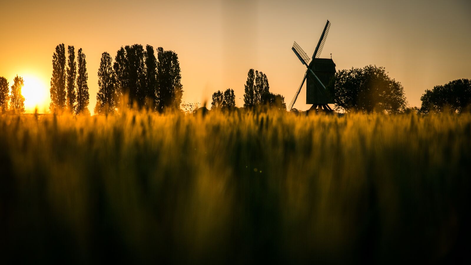 Canon EF 24-70mm F2.8L II USM sample photo. Sunset, dawn, evening photography