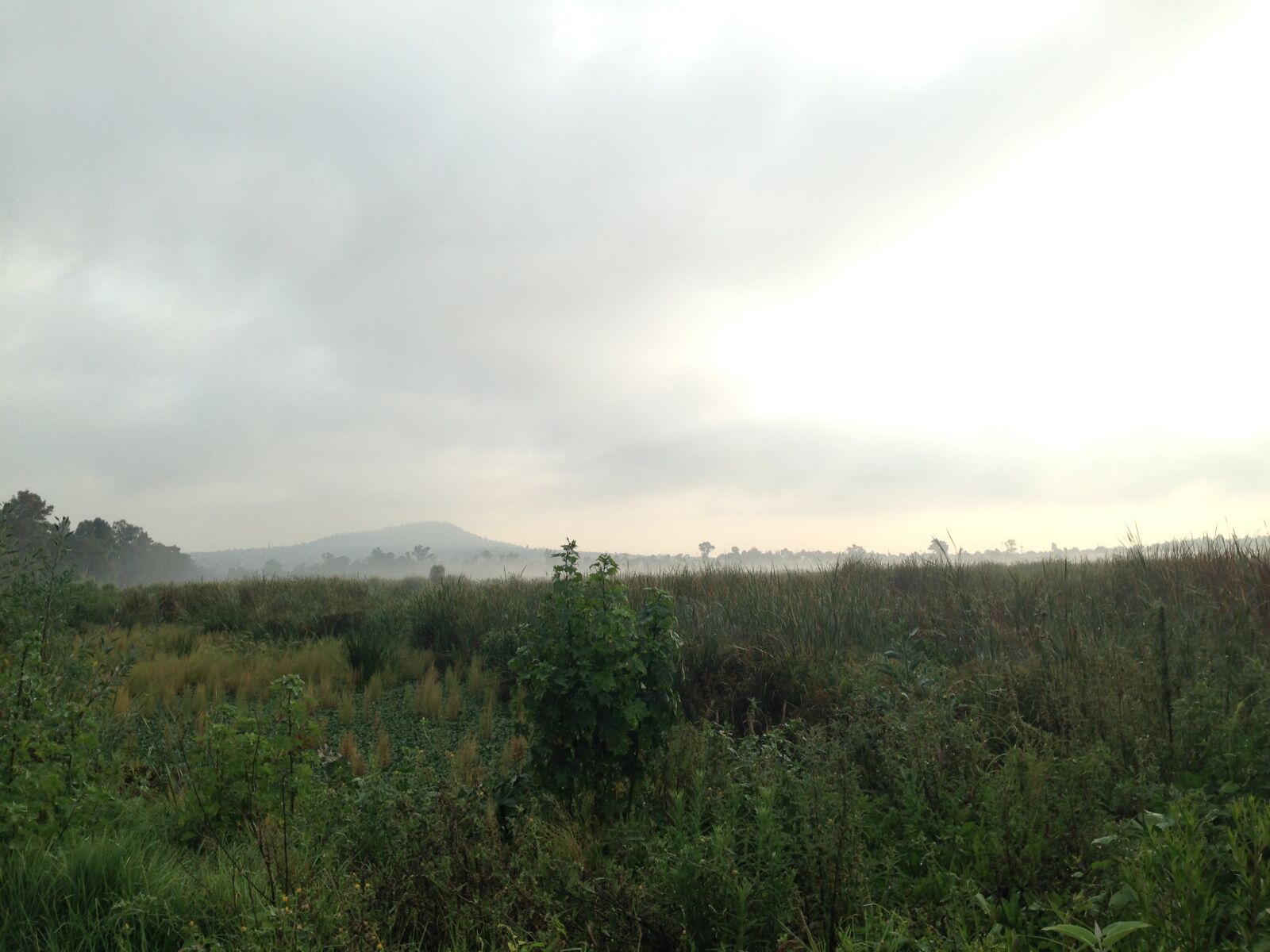 Apple iPhone 5 sample photo. Nature, sky, clouds photography