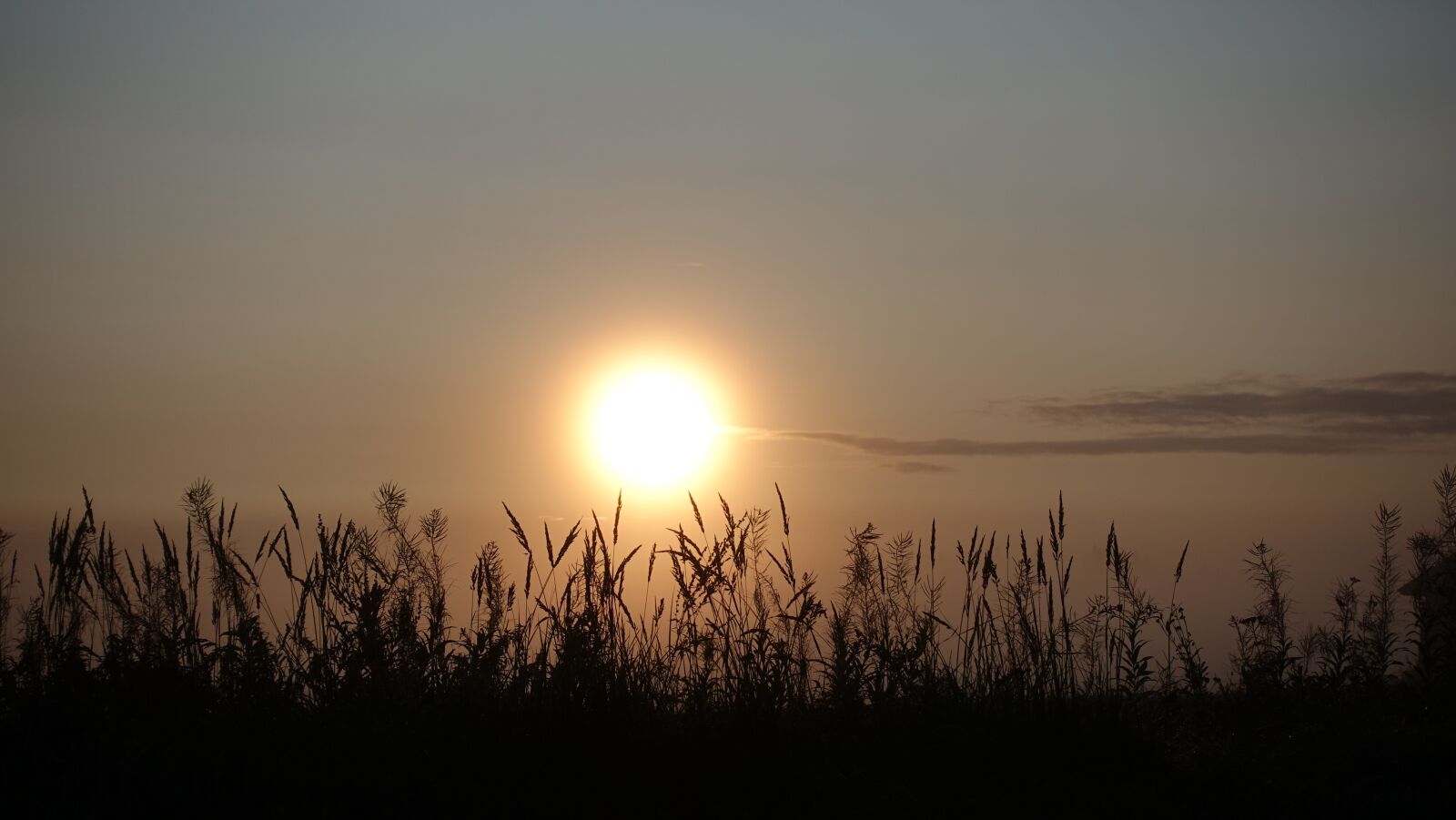 Sony DSC-RX100M5 sample photo. Sun, sunrise, landscape photography