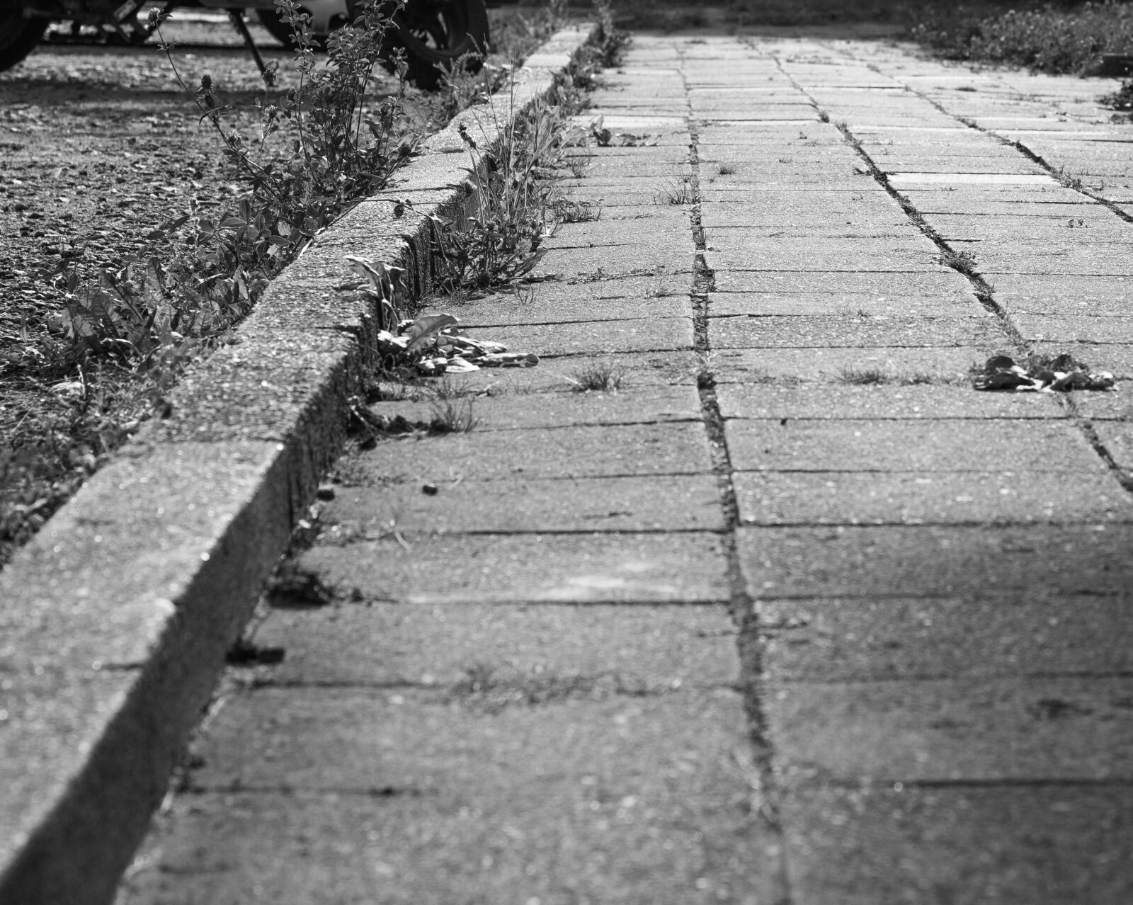 Canon EOS 700D (EOS Rebel T5i / EOS Kiss X7i) + Canon EF 50mm F1.8 STM sample photo. Pavement, path, walking photography
