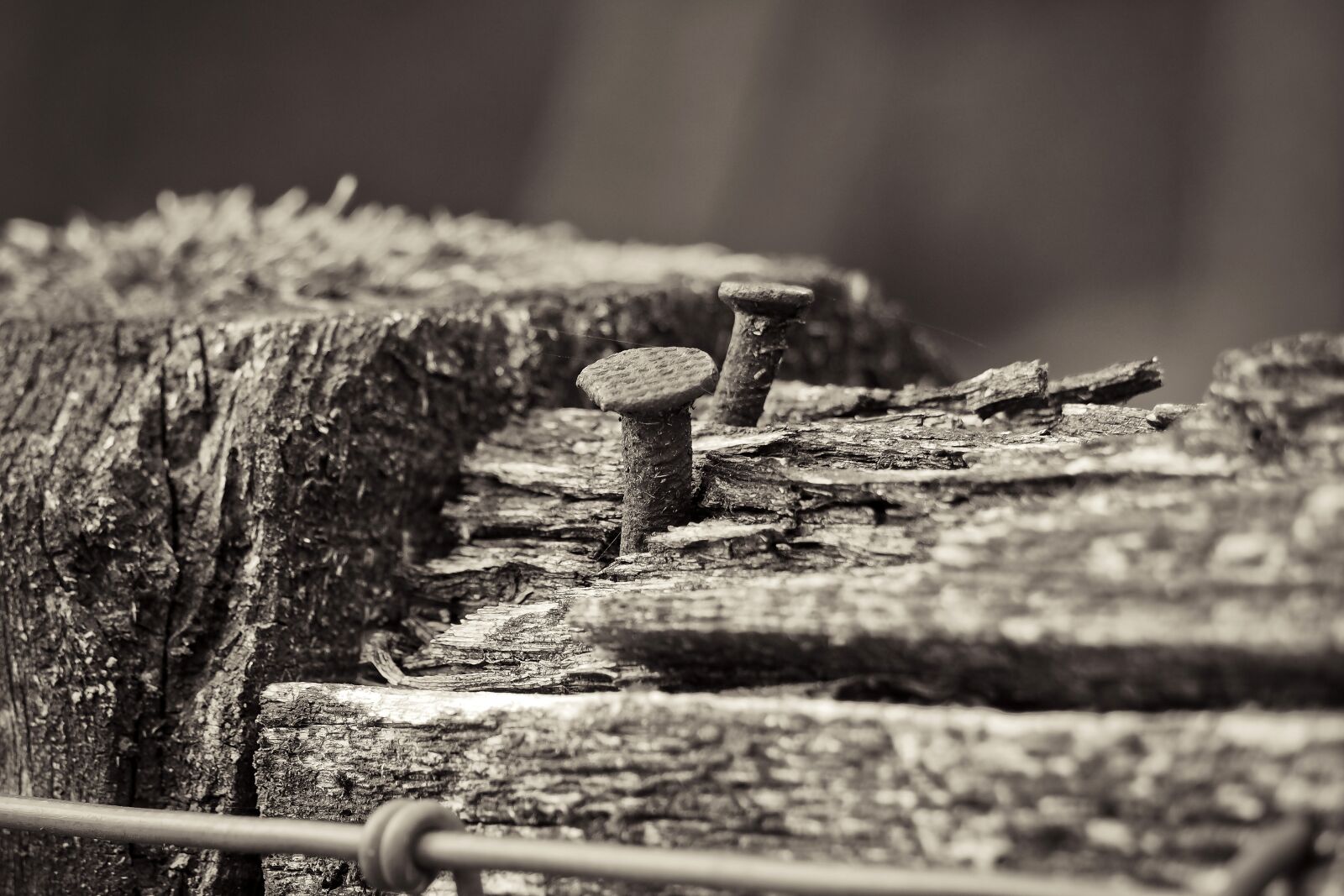 Olympus OM-D E-M10 sample photo. Fence, wood fence, wood photography