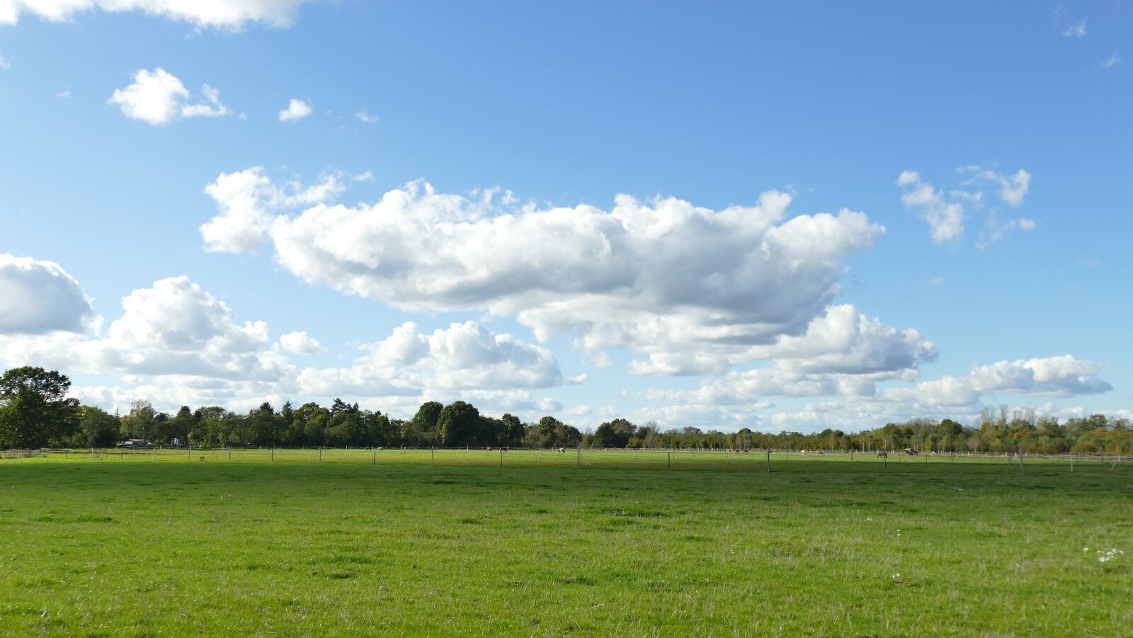 Panasonic Lumix DMC-FZ1000 sample photo. Landscape, sky, clouds photography