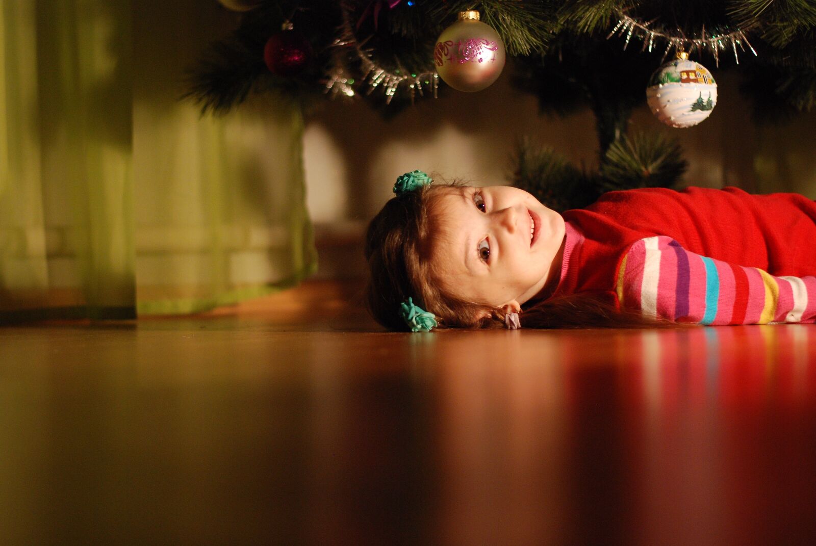 Nikon D80 sample photo. Christmas tree, new year photography