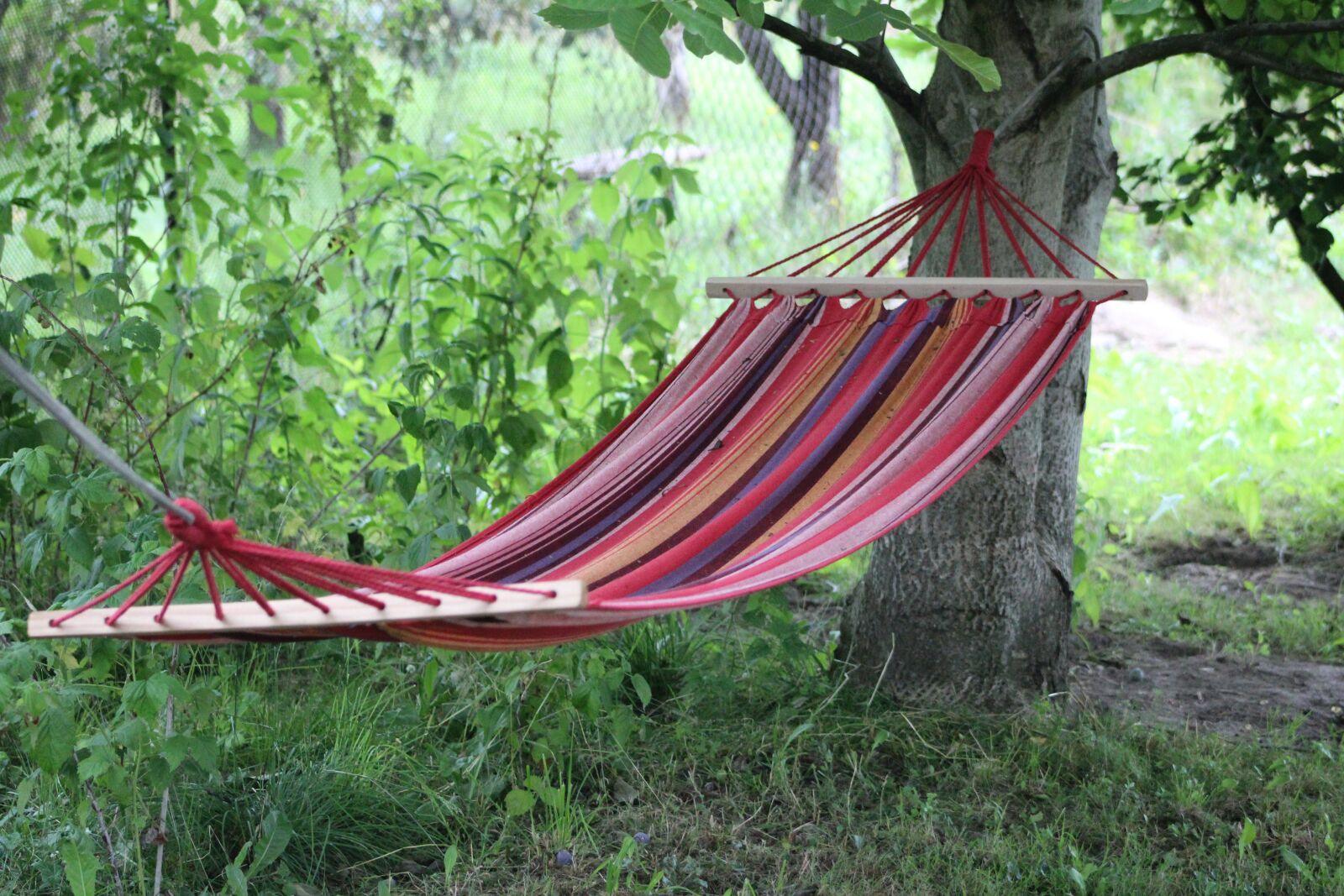Canon EF75-300mm f/4-5.6 sample photo. Hammock, relaxation, swing photography