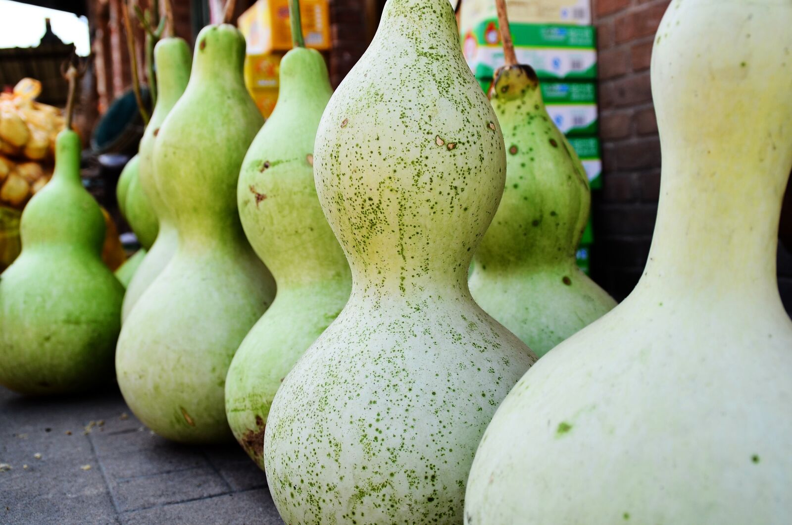 Nikon D7000 sample photo. The scenery, the ancient photography