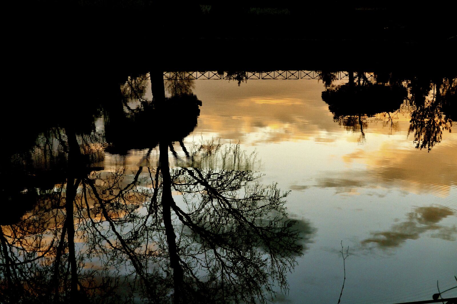 Nikon D3100 sample photo. Rome, villa ada, lake photography