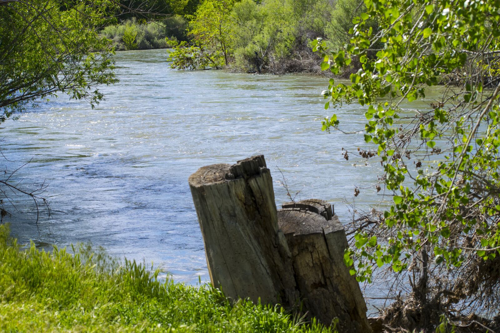 Nikon D5300 sample photo. Truckee river, nevada, reno photography
