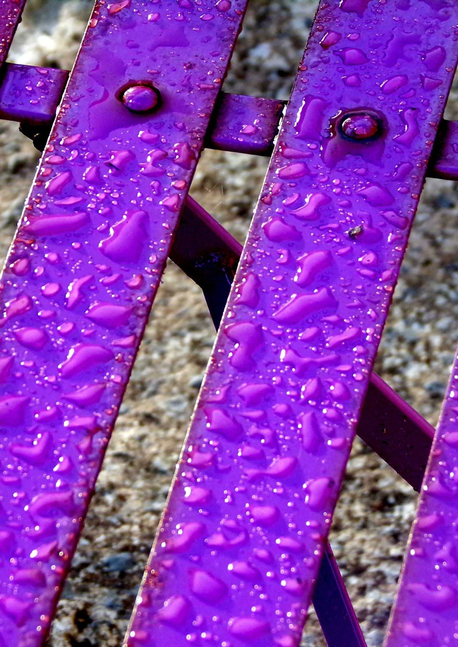 JK KODAK PIXPRO AZ421 sample photo. Garden, chair, rain photography
