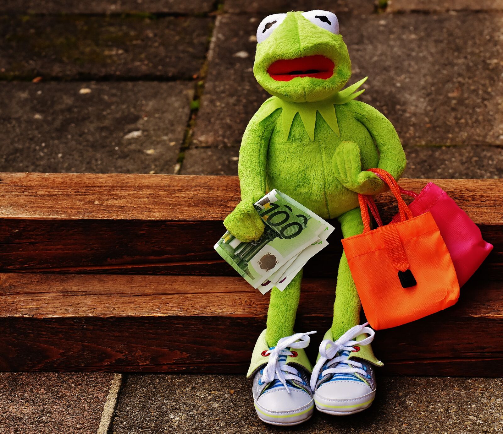 Nikon D7200 sample photo. Shopping, kermit, money photography