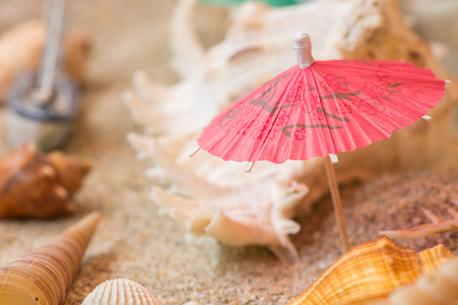 Nikon AF-S Micro-Nikkor 105mm F2.8G IF-ED VR sample photo. Conch, decoration, sand, seashell photography