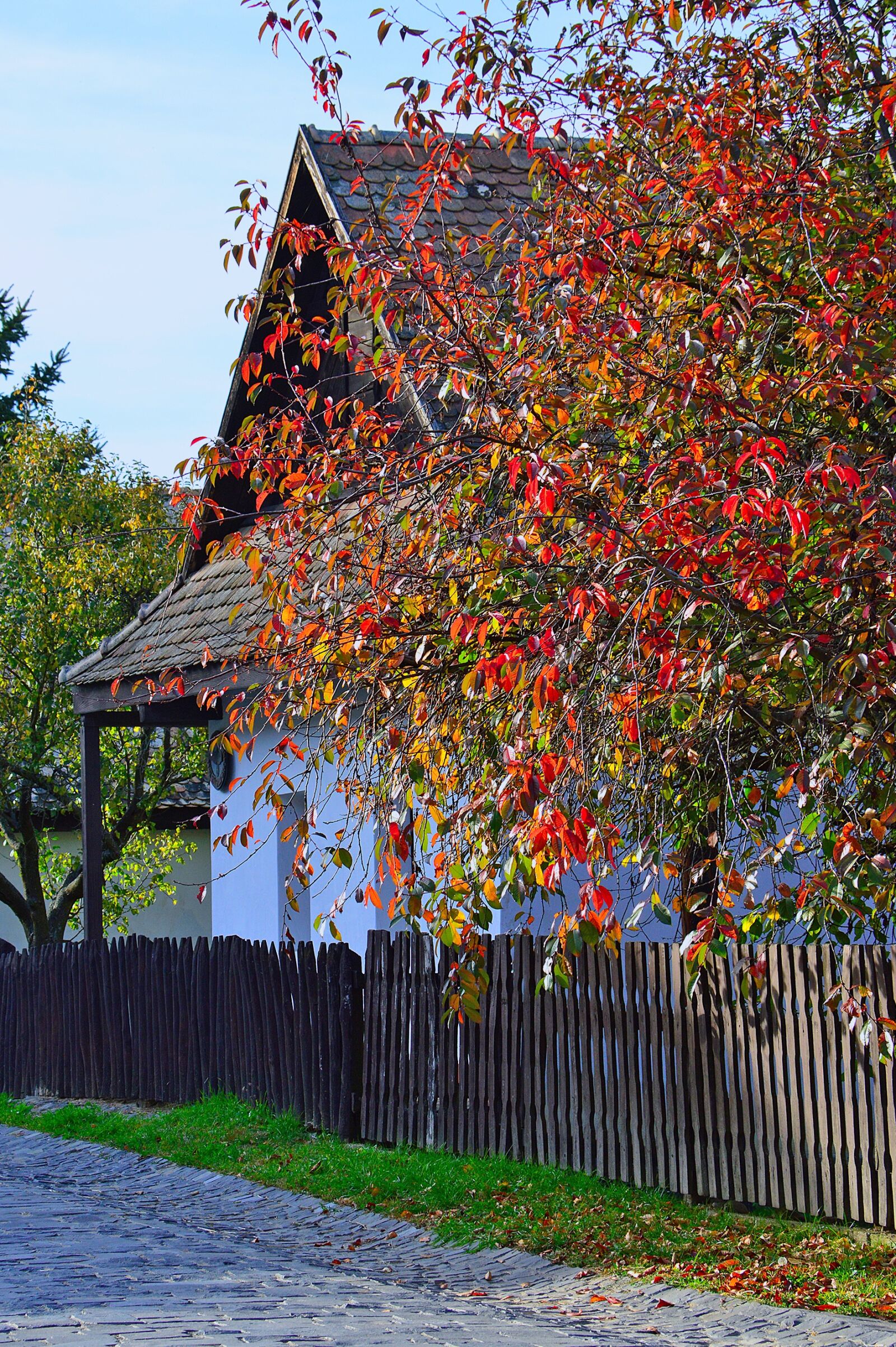 Nikon D3200 sample photo. Hungarian, hollókő, autumn photography