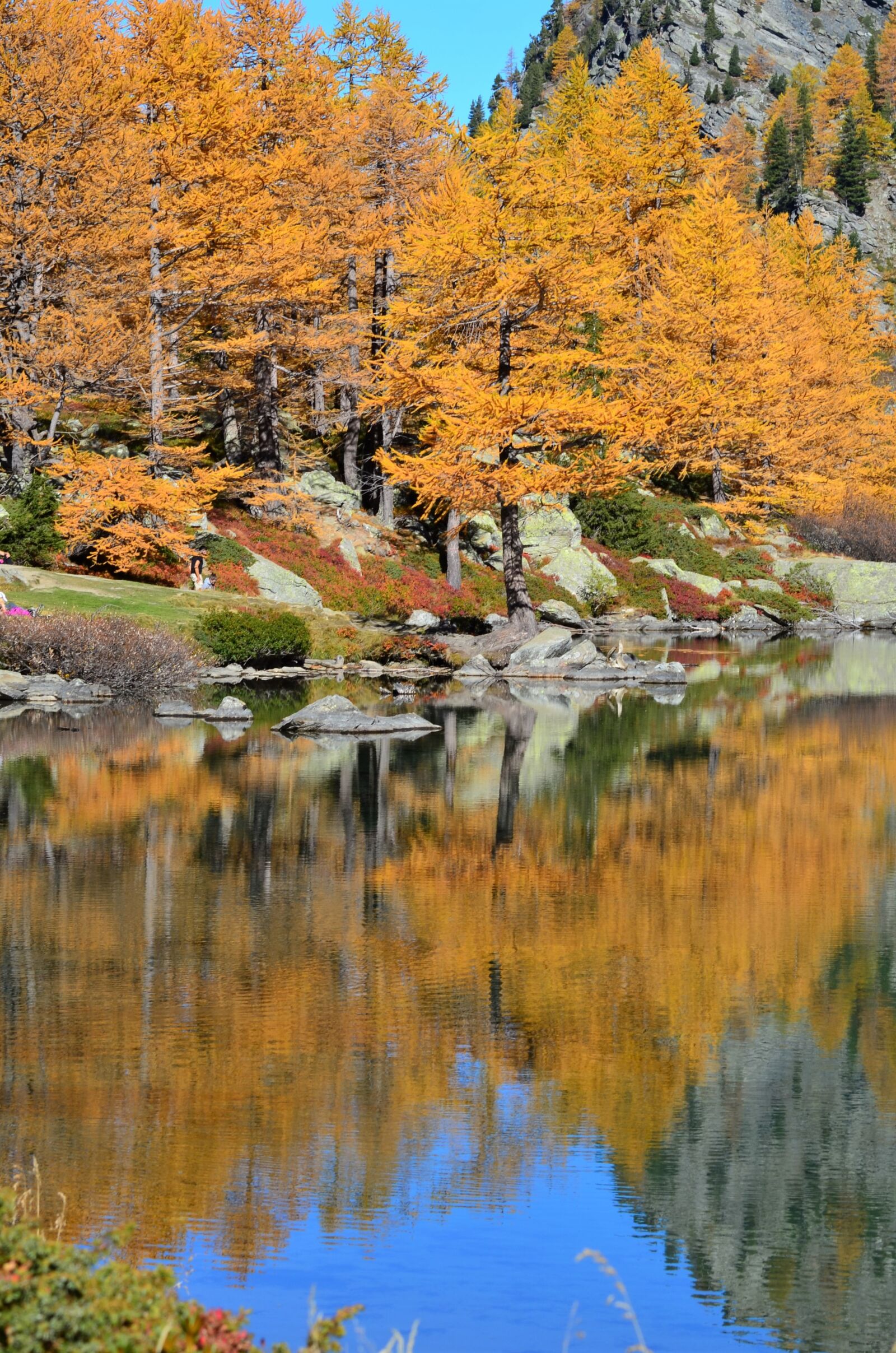 Nikon D5100 sample photo. Fogliage, lake, autumn photography