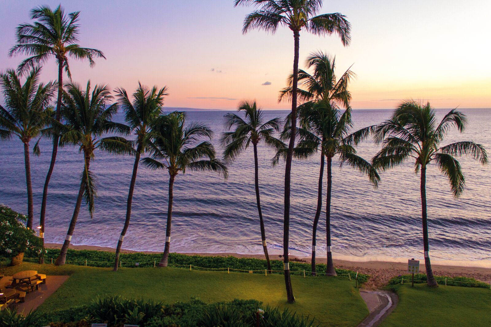 Canon EOS 600D (Rebel EOS T3i / EOS Kiss X5) sample photo. Sunset, palms, beach photography