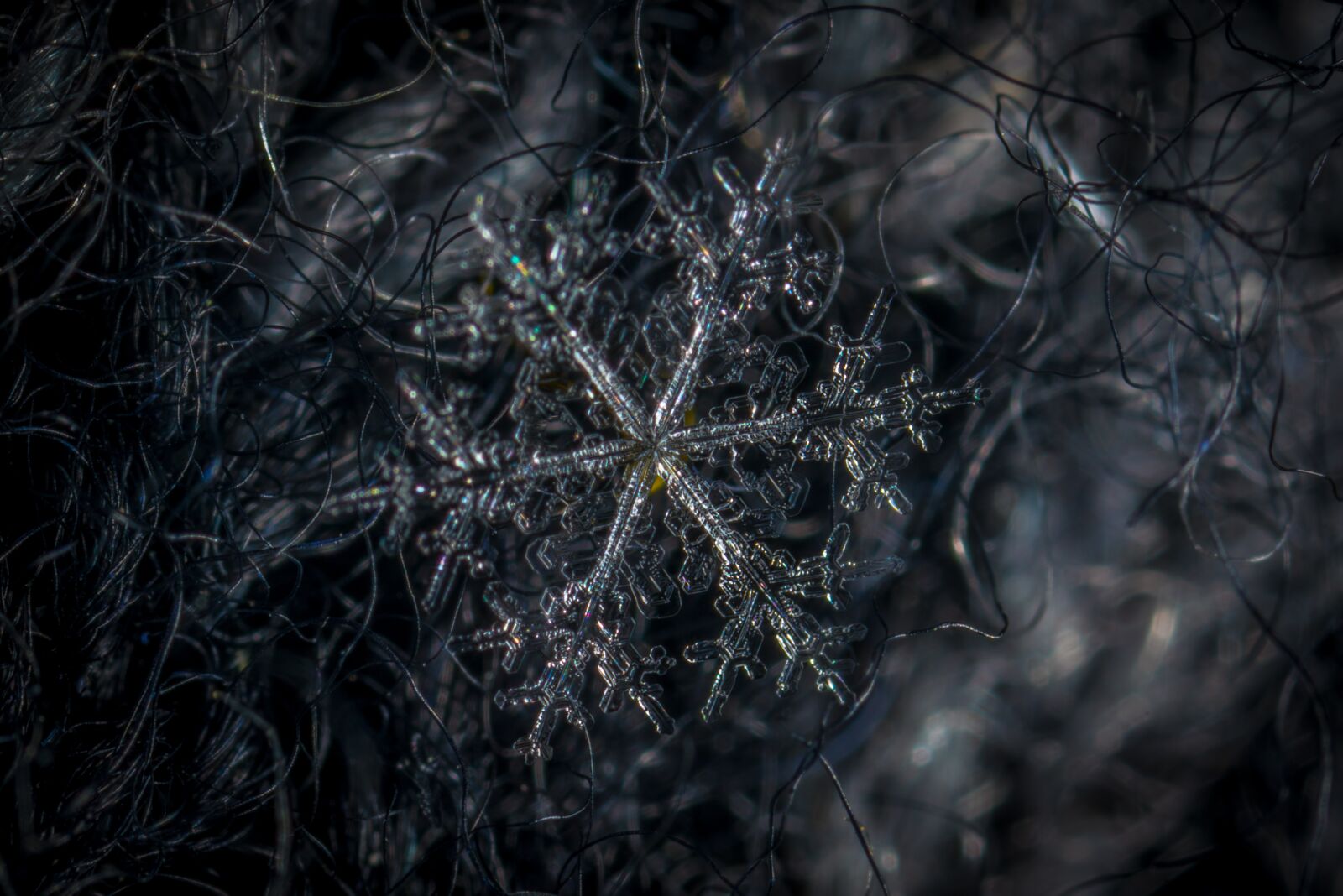 #124 65/2.8 sample photo. Snowflake, macro, snow photography