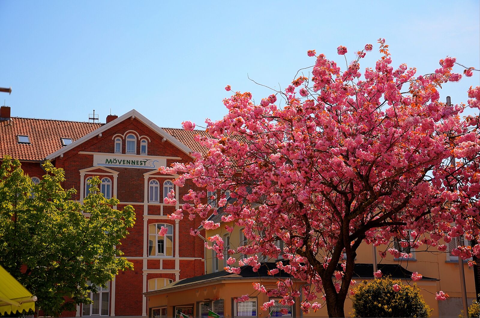 Nikon D7000 sample photo. Hotel, summer, cherry photography