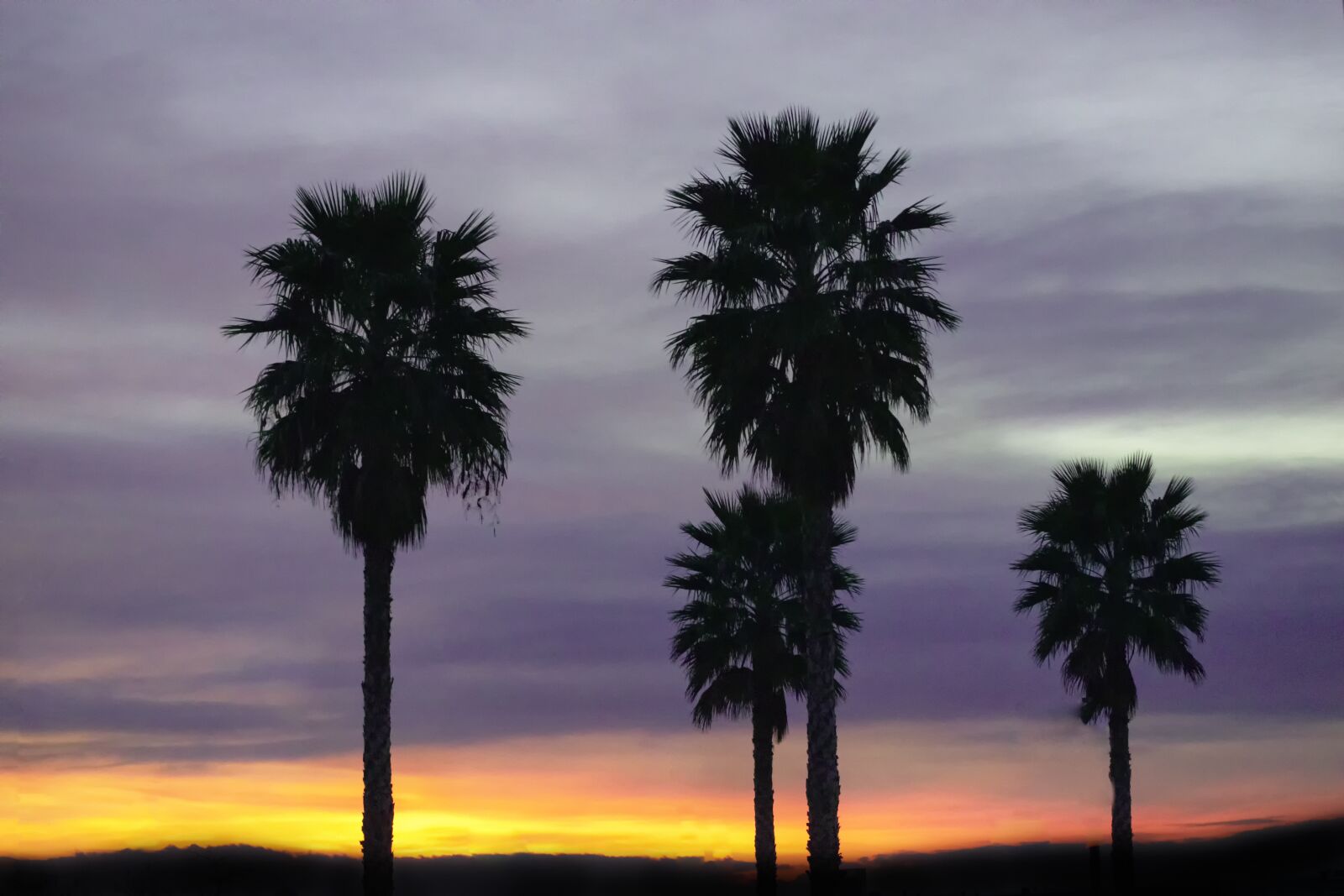 Nikon D3300 sample photo. Palms, dawn, sky photography