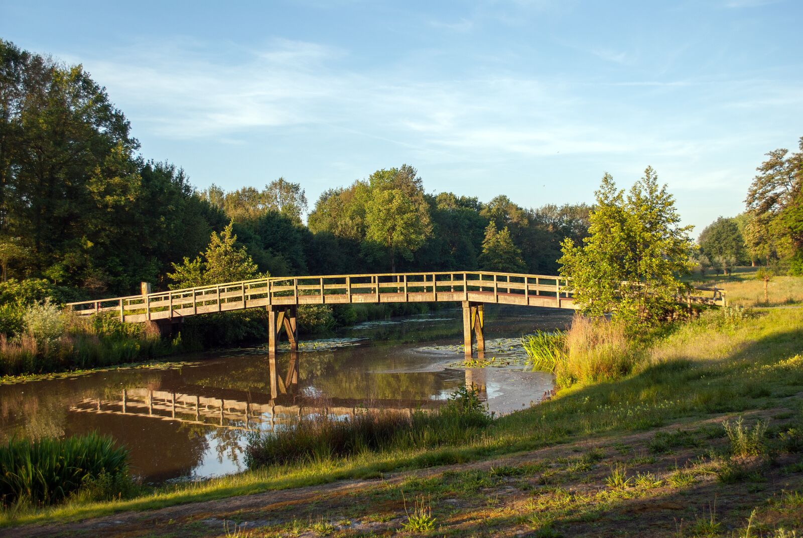 Nikon D3000 sample photo. Pond, landscape, enschede photography