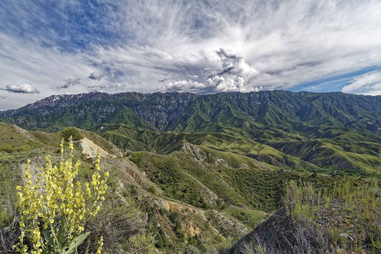 Nikon D500 sample photo. Kyrgyzstan, the ferghana mountains photography