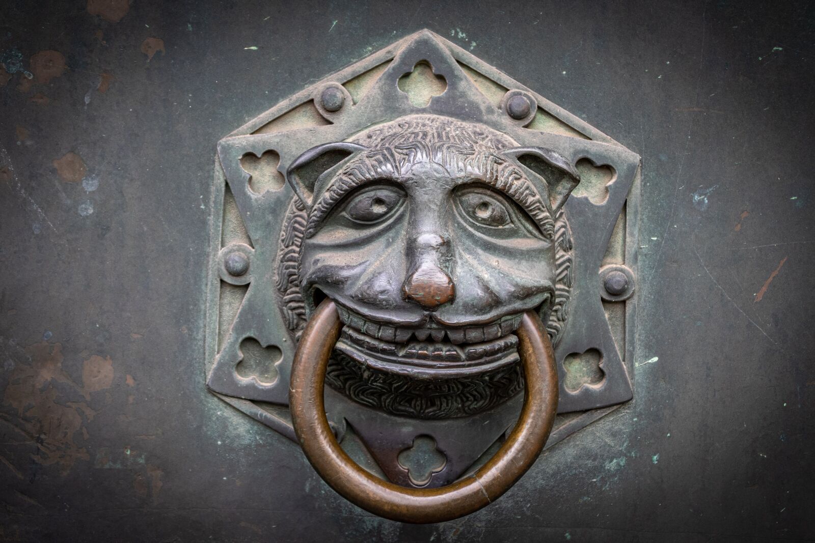 Canon EOS 80D sample photo. Door, door opener, doorknocker photography