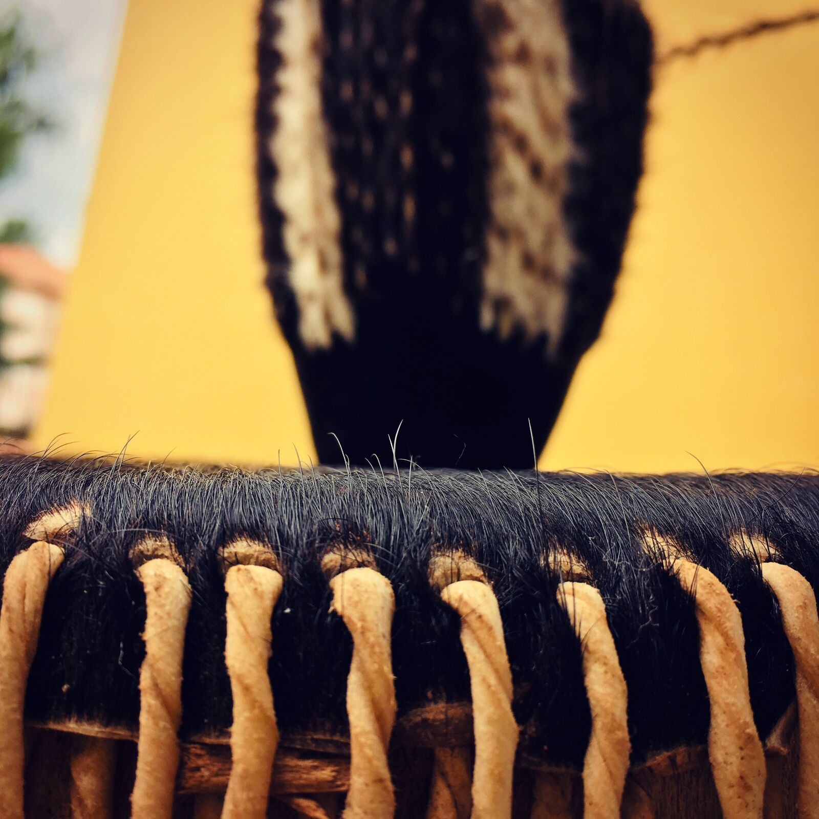 Apple iPhone 6s sample photo. Drums, sound, strings photography