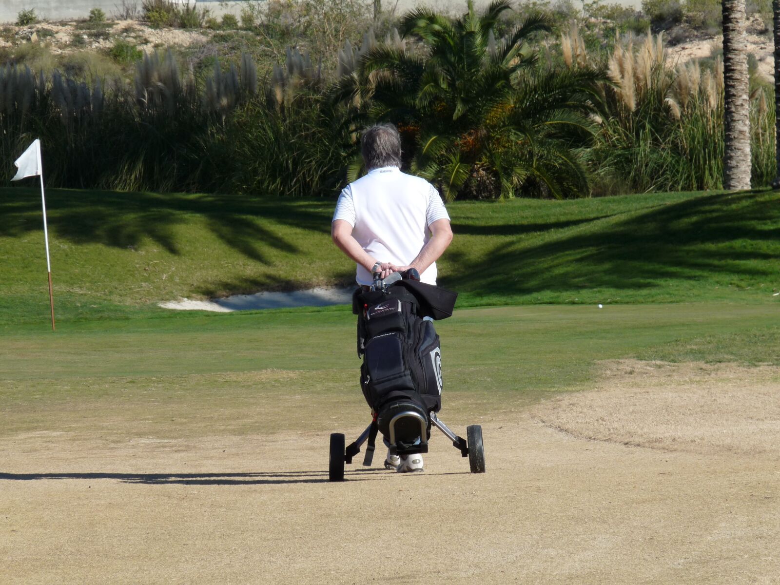Panasonic Lumix DMC-FZ28 sample photo. Sport, golf, route photography