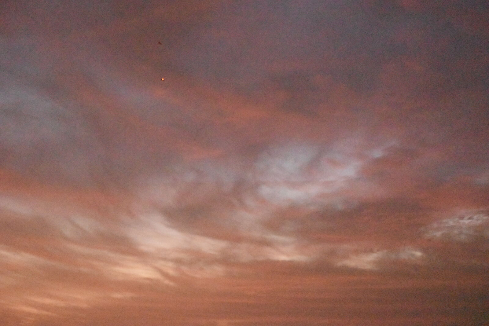 Nikon D5500 sample photo. Evening, sky, israel photography