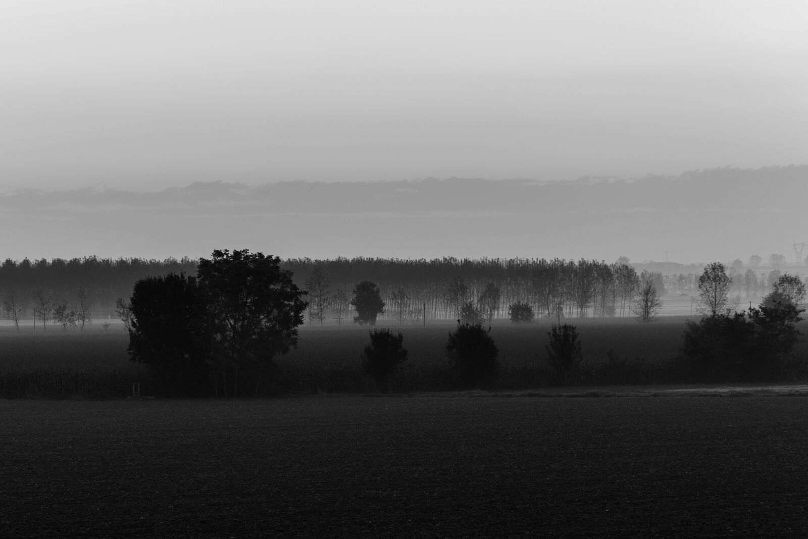 Nikon D5100 sample photo. Dawn, fog, landscape photography