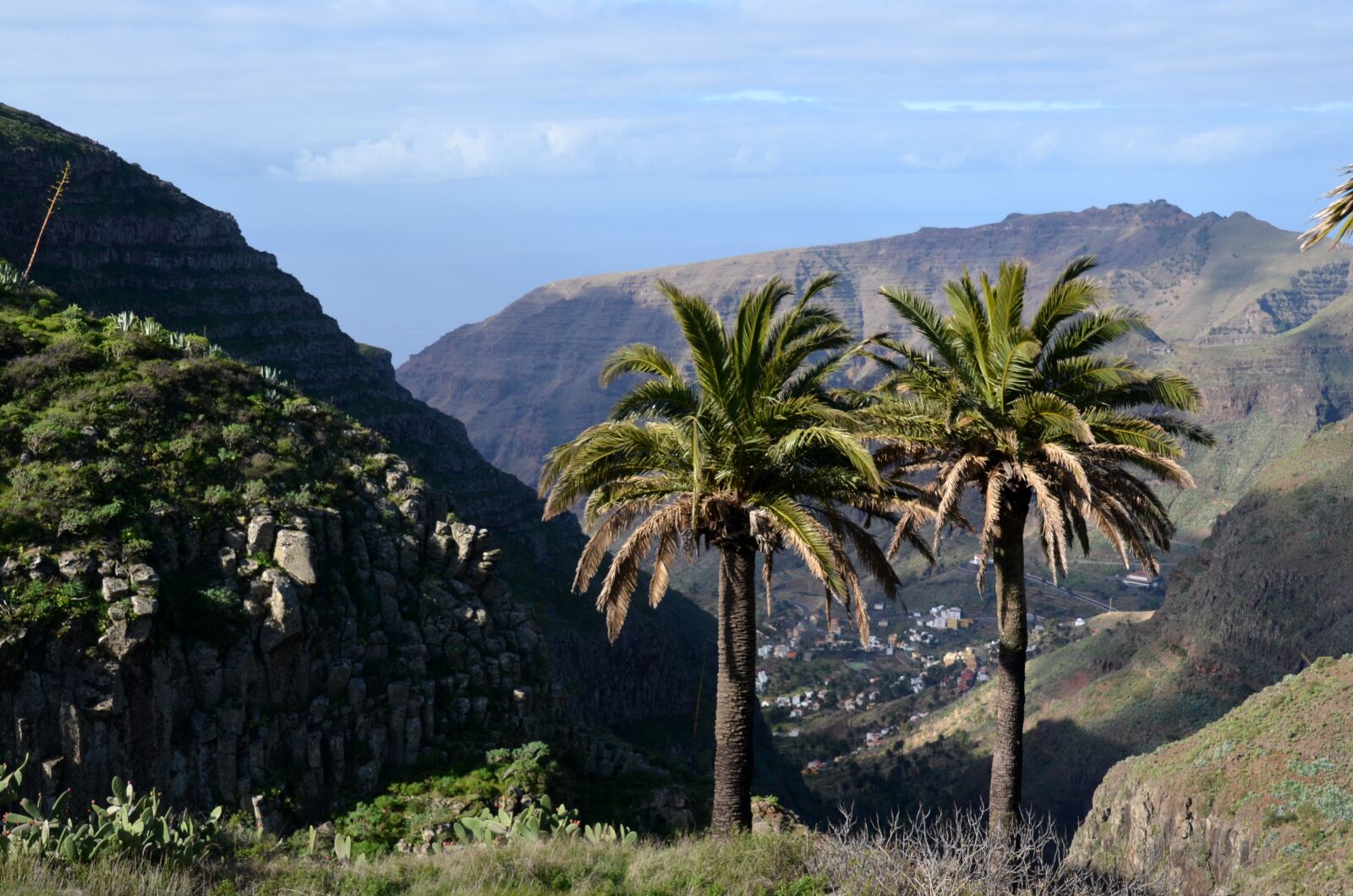 Nikon D5100 sample photo. Palm trees, mountains, sea photography