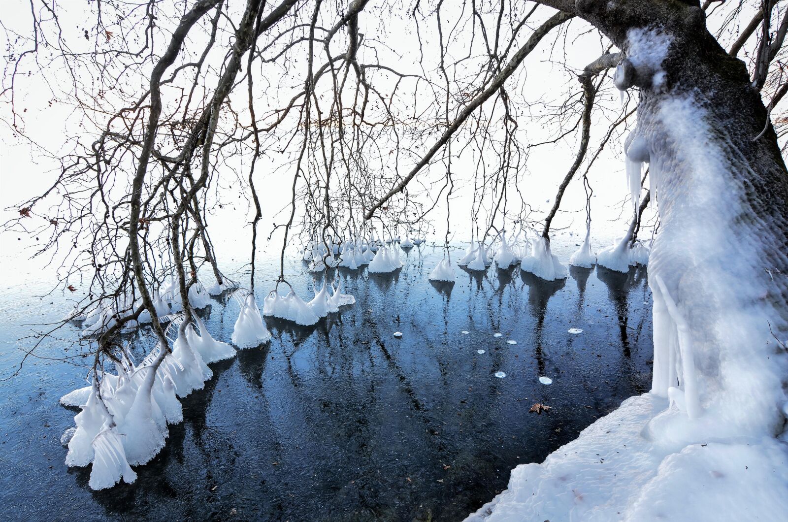 Nikon D7000 sample photo. Snow, winter, cold photography