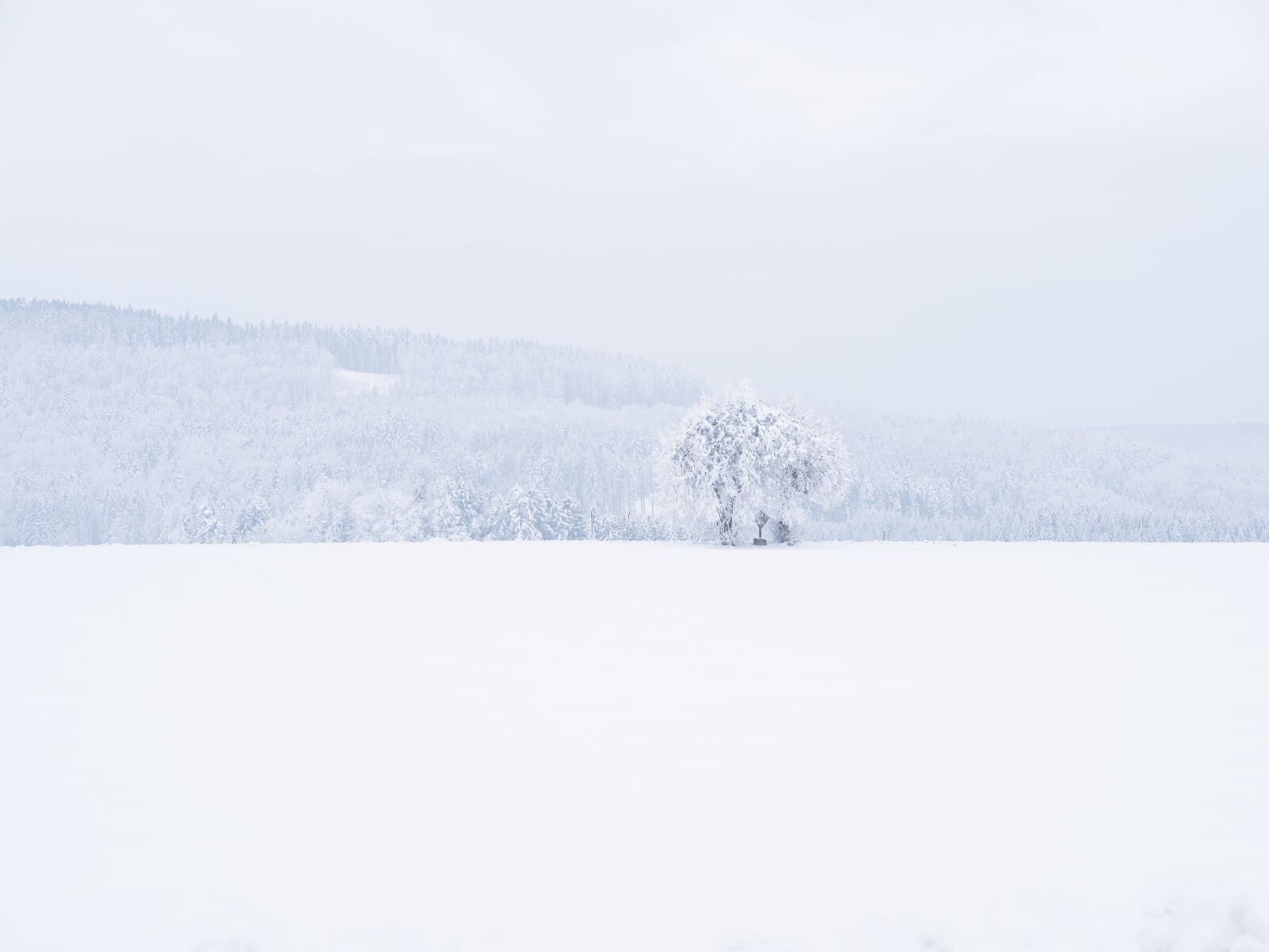 Fujifilm GFX 50S sample photo. Winter, landscape, snow photography