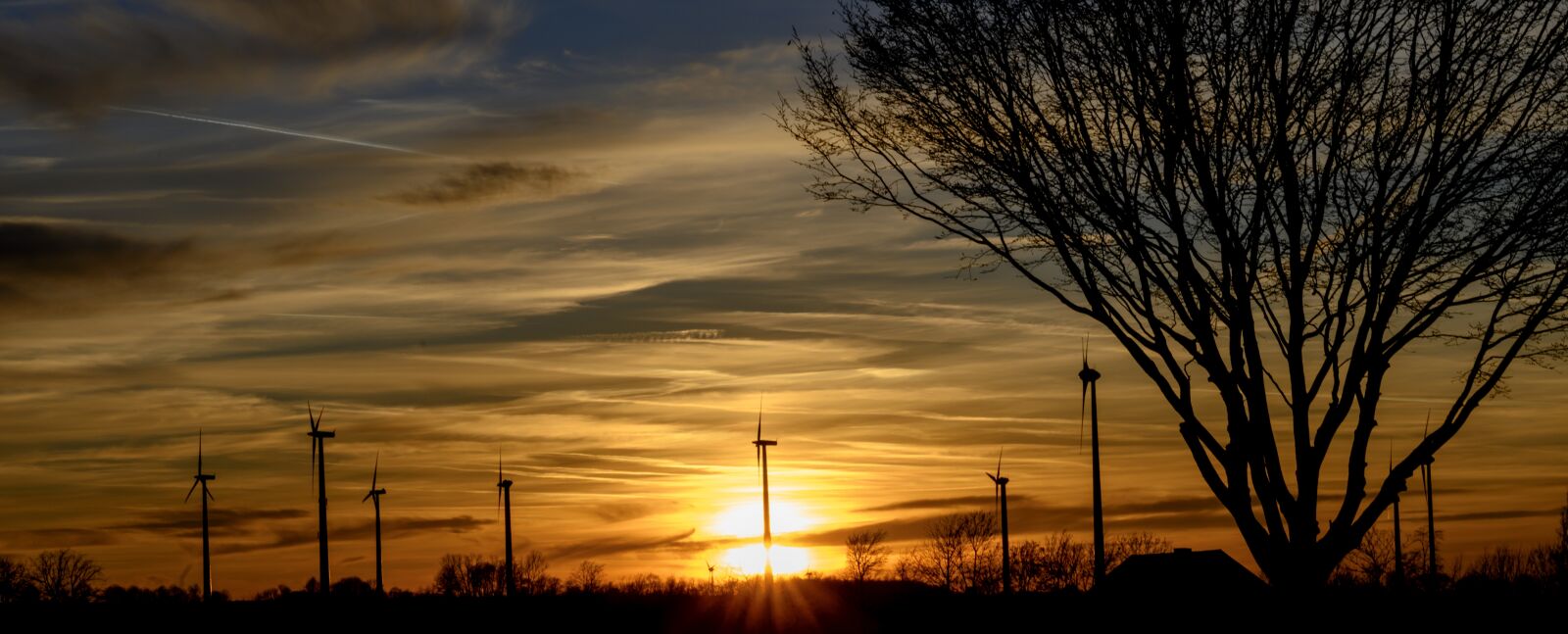 Nikon Z7 sample photo. Sunset, evening sun, wind photography