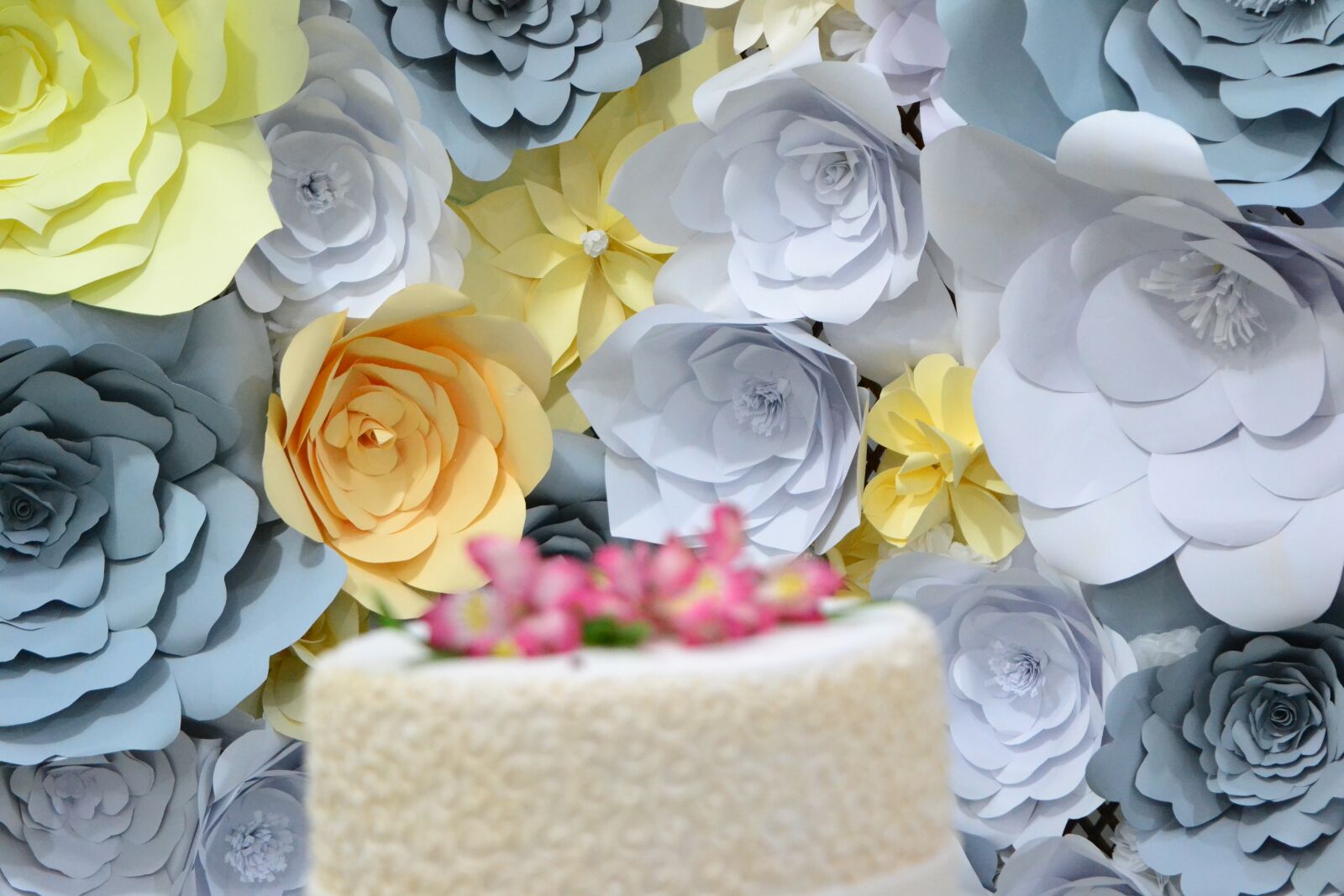 Nikon D3100 sample photo. Flowers, decoration, cake photography