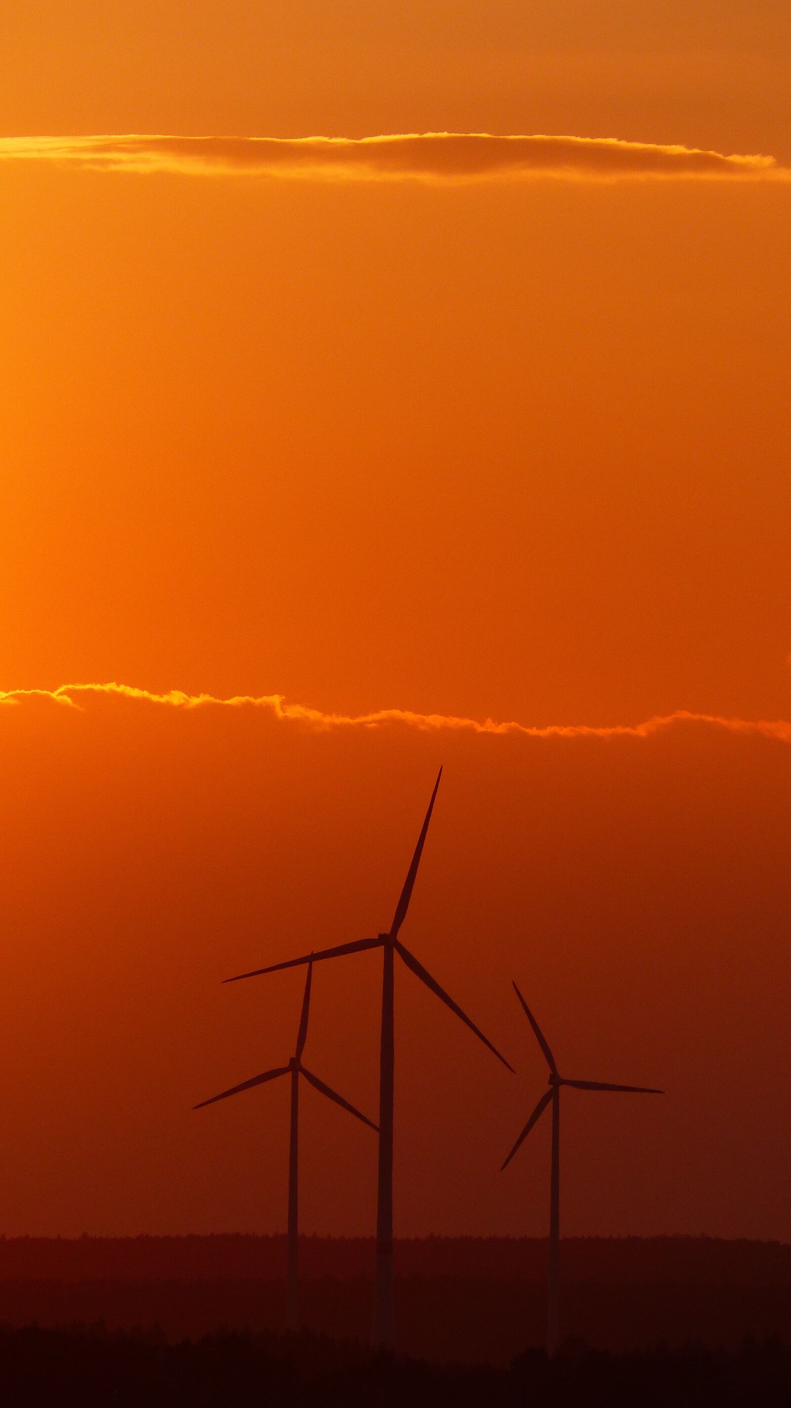 Panasonic Lumix DMC-FZ200 sample photo. Windr der, wind power photography