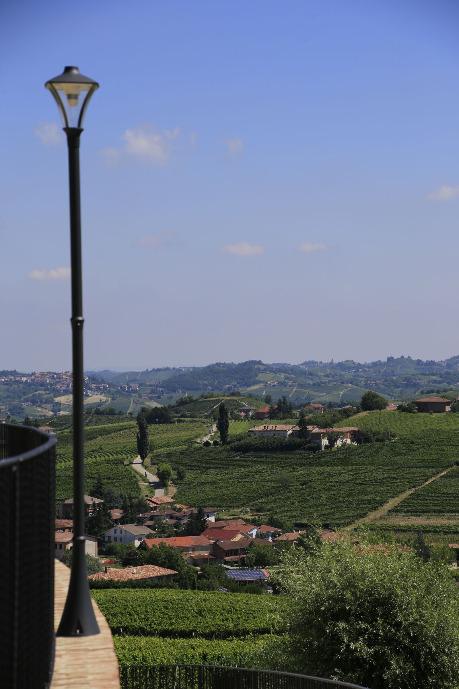 Canon EOS 6D sample photo. Italy, piedmont, vineyard photography
