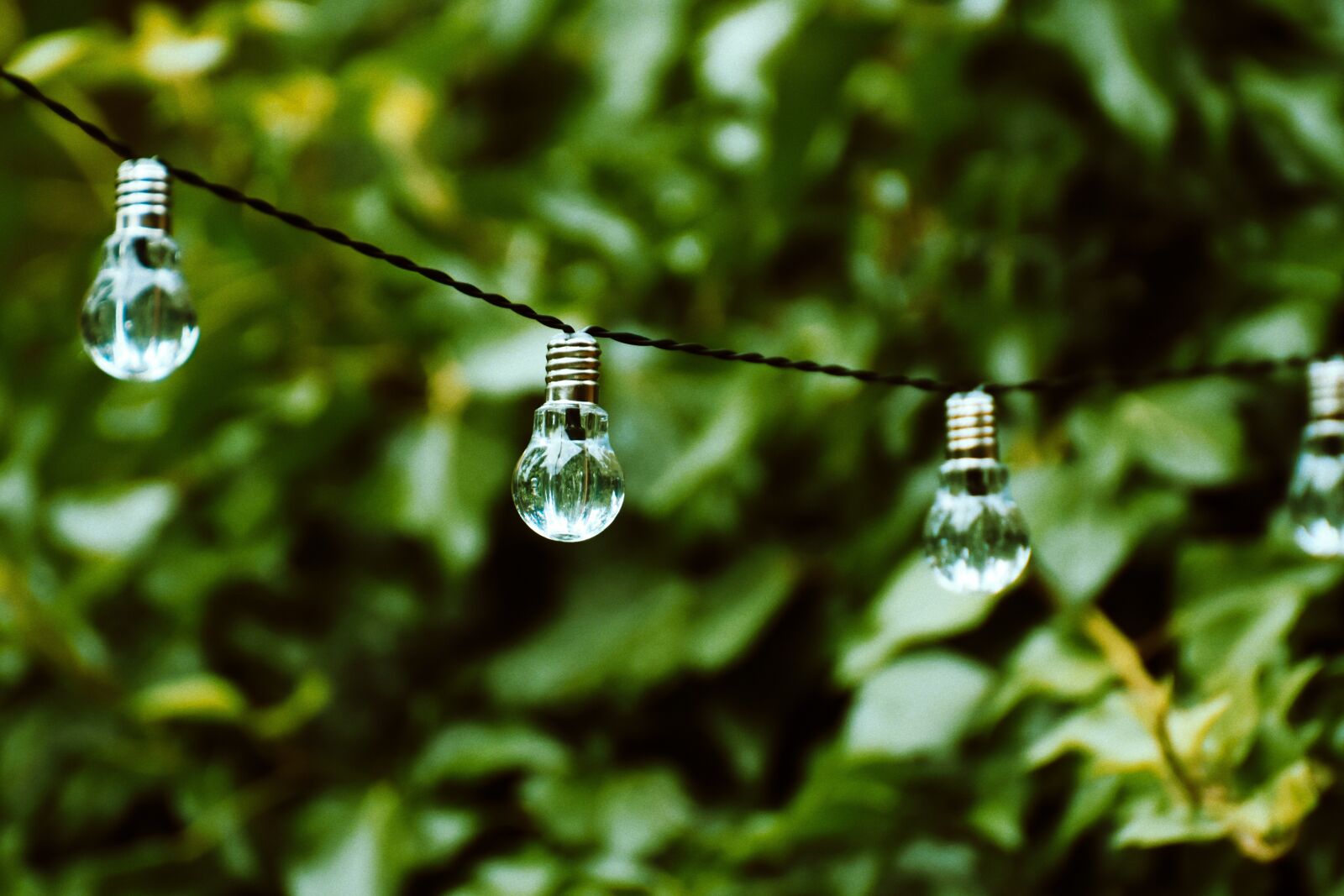 Nikon D7200 sample photo. Light bulb, energy, nature photography