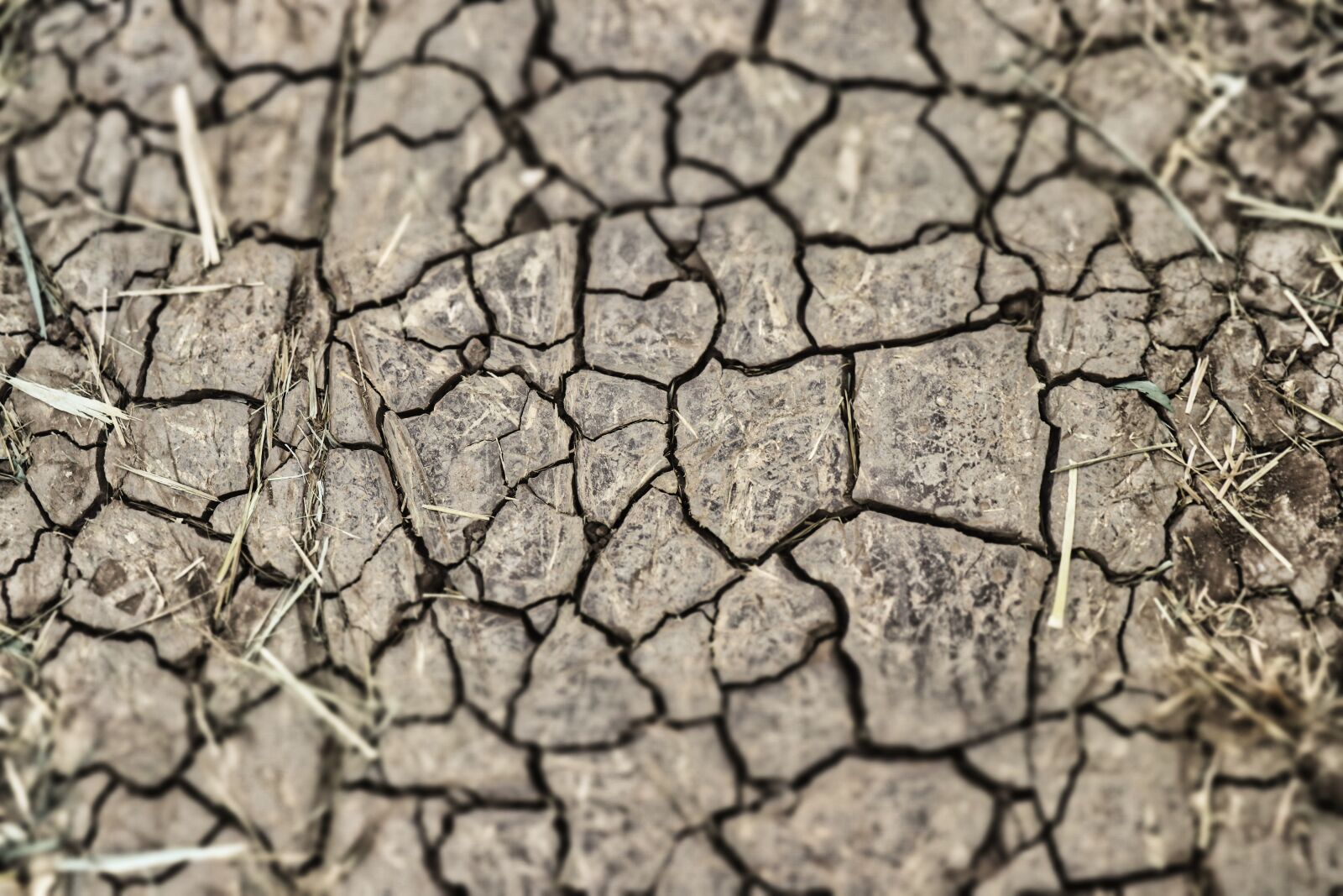 Canon EOS 200D (EOS Rebel SL2 / EOS Kiss X9) sample photo. Dry, ground, drought photography