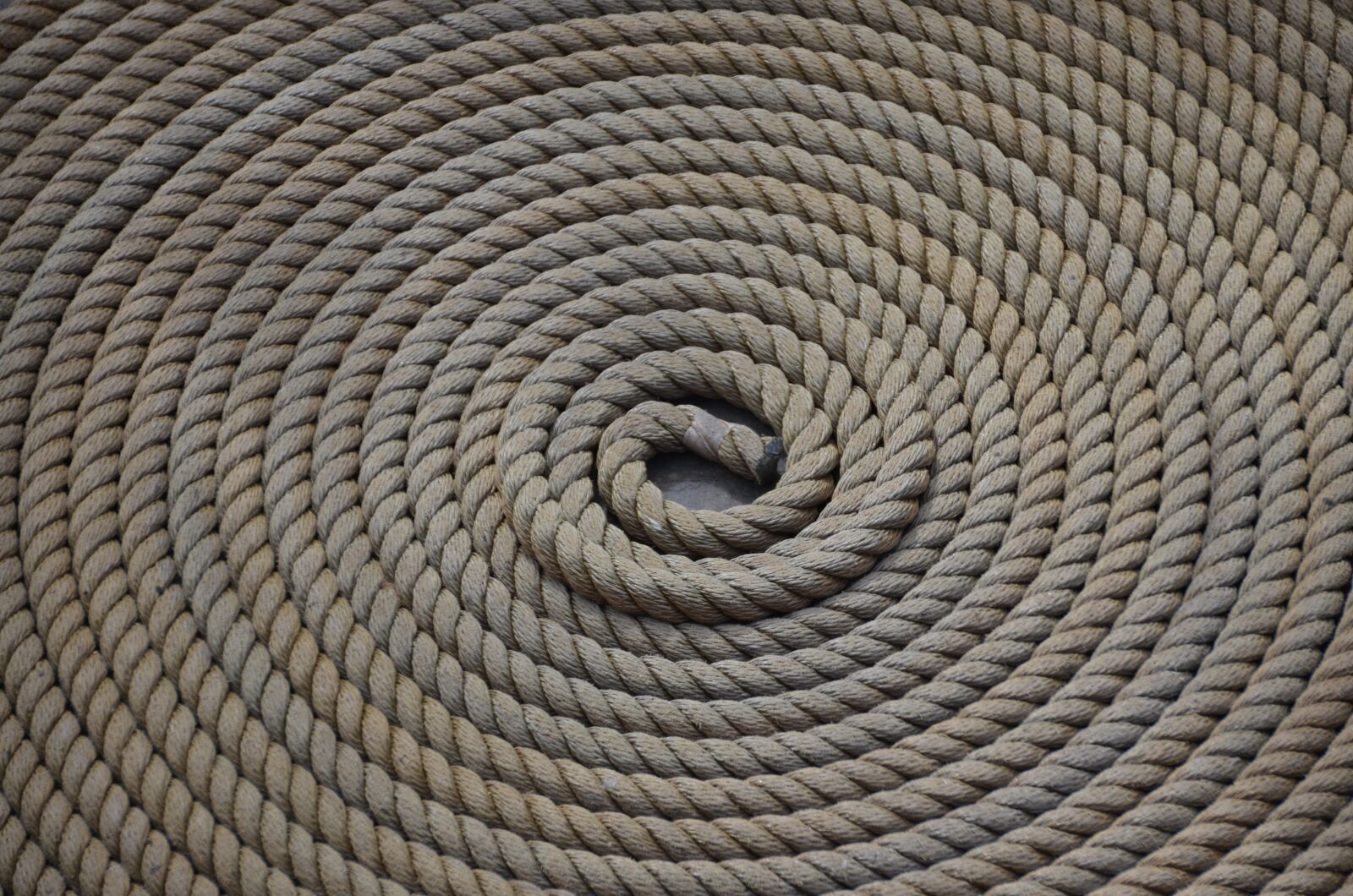 Nikon D5100 sample photo. Rope, dew, rolled up photography