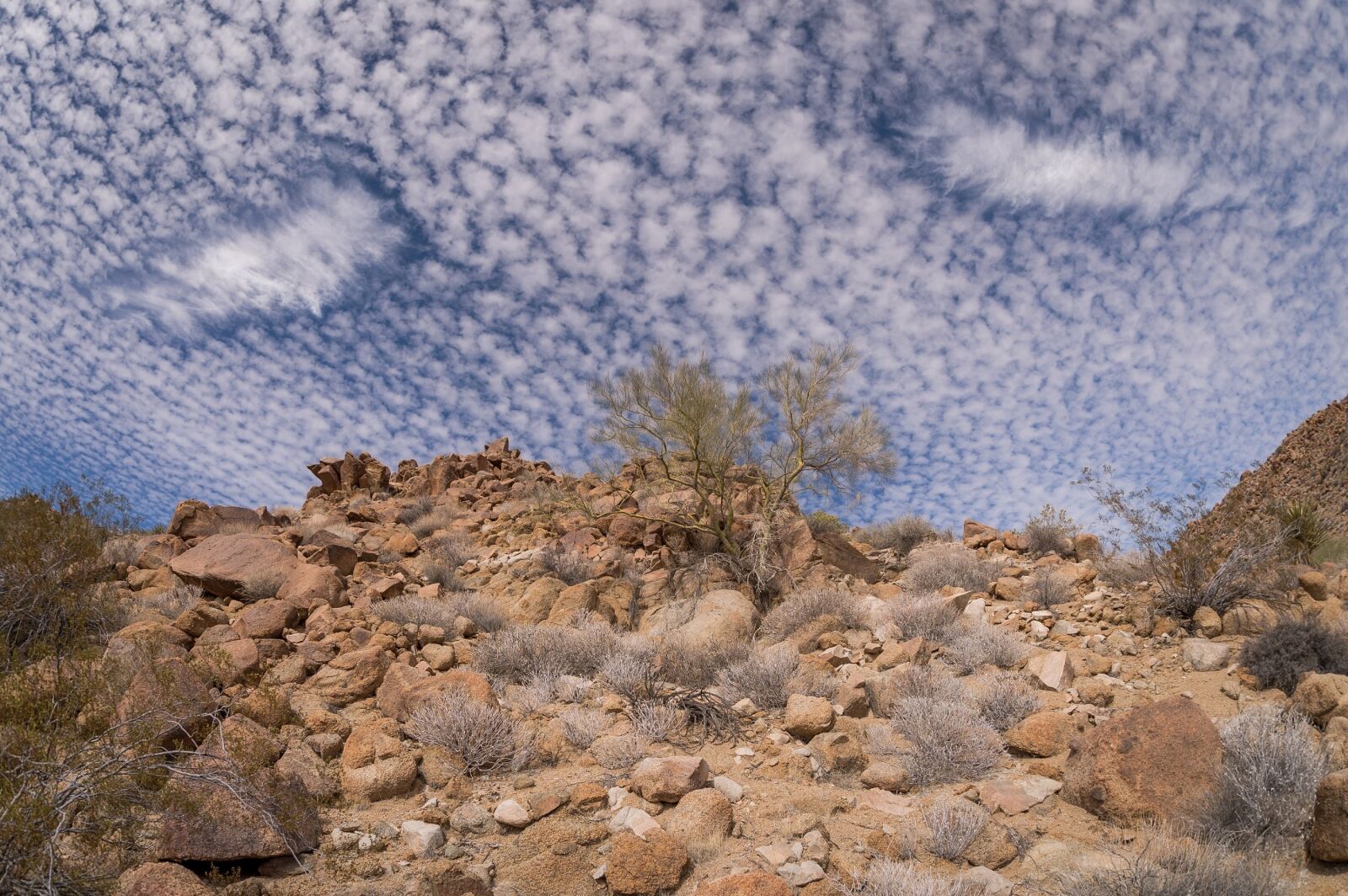 Nikon Df sample photo. Cirrocumulus clouds, fallstreak holes photography